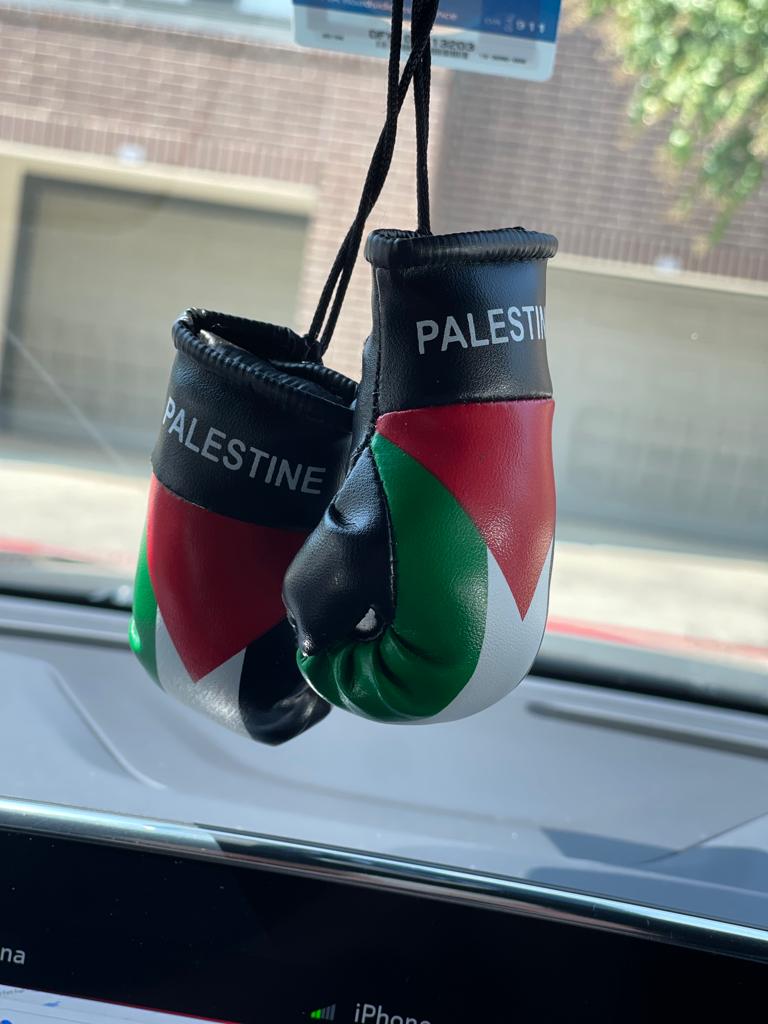 Country Flag Mini Boxing Gloves For Hanging - Habibi Heritage