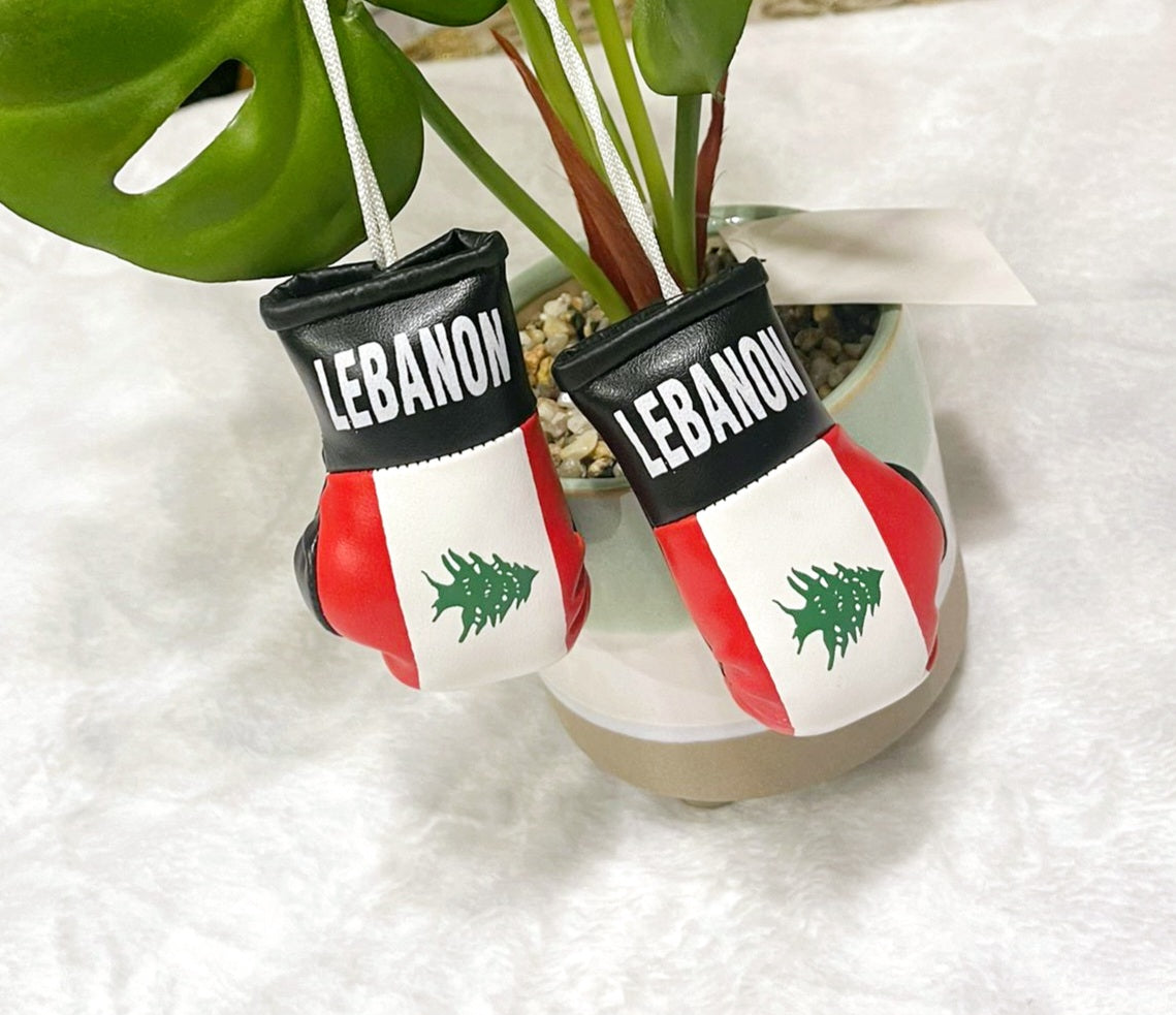 Lebanon Mini Boxing Gloves For Hanging - Habibi Heritage