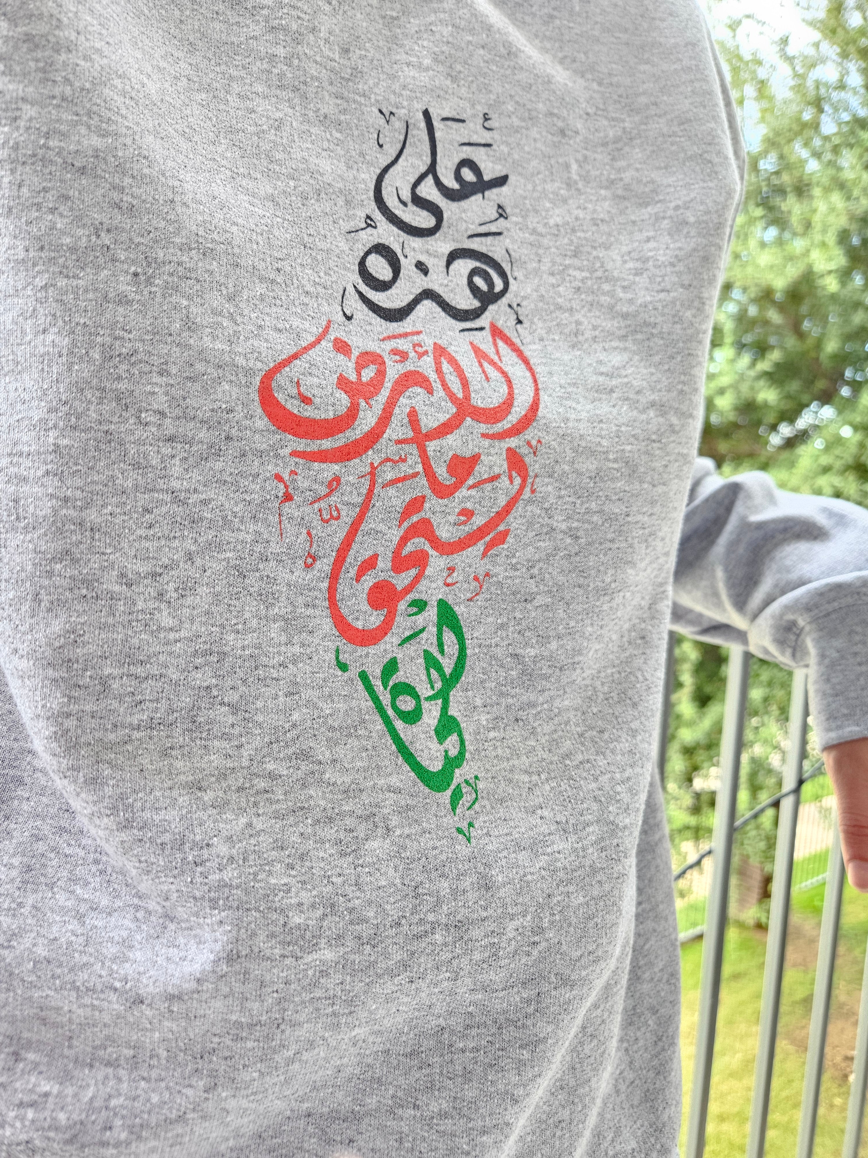 Palestine "On This Earth..." Hoodie or Crew Neck - Kids & Adult sizes - Habibi Heritage