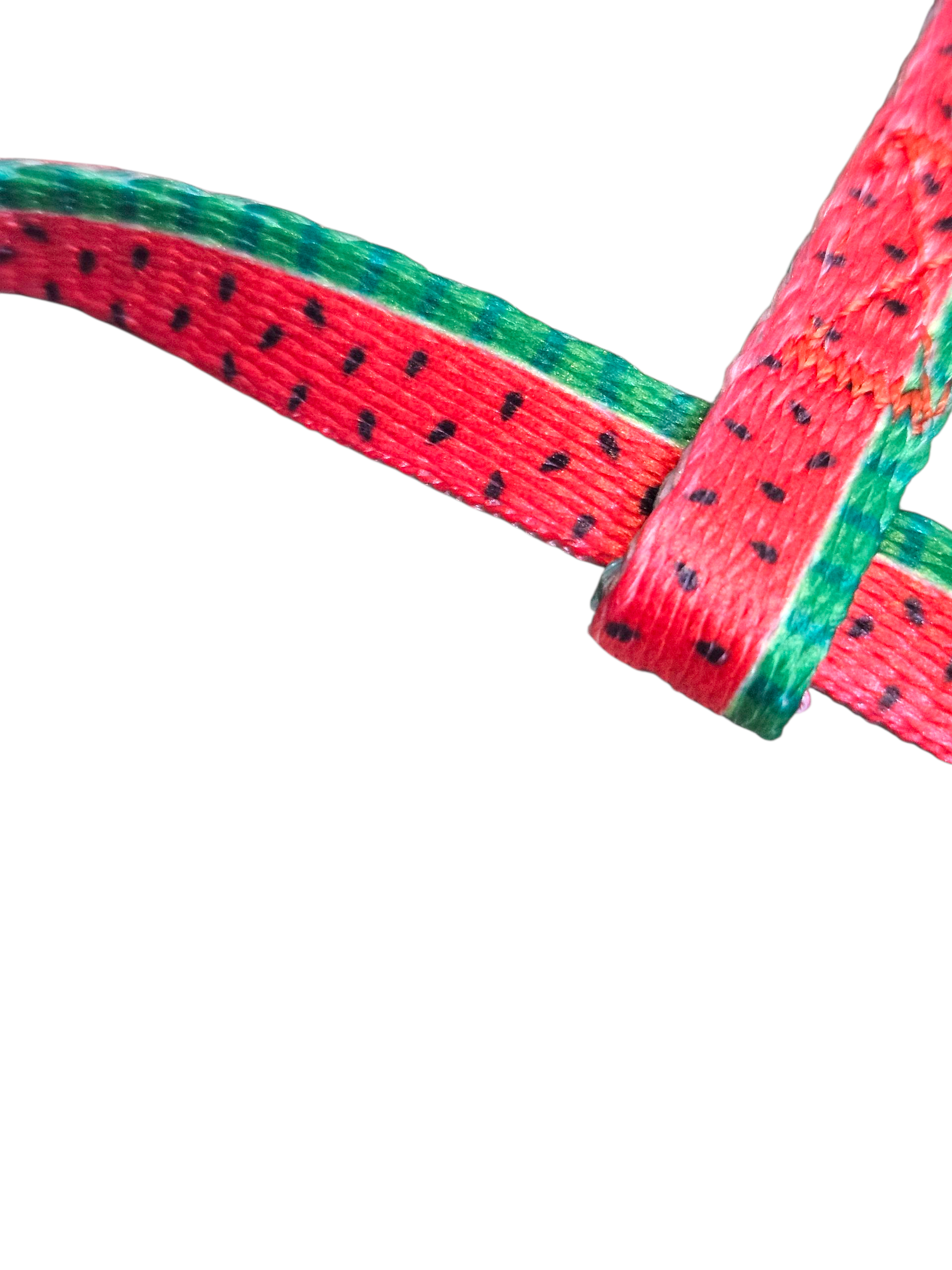 Cat Harness & Leash Set - Watermelon and Keffiyeh Pattern