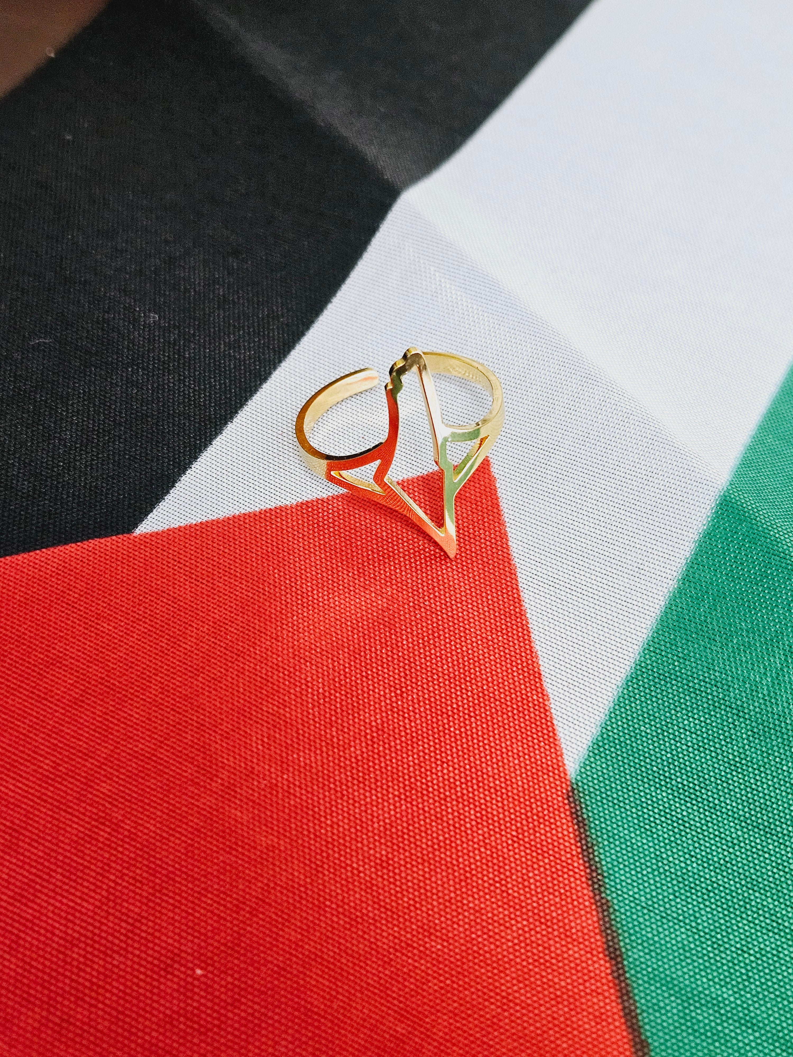 Palestine Hollow Ring Adjustable Size - Habibi Heritage