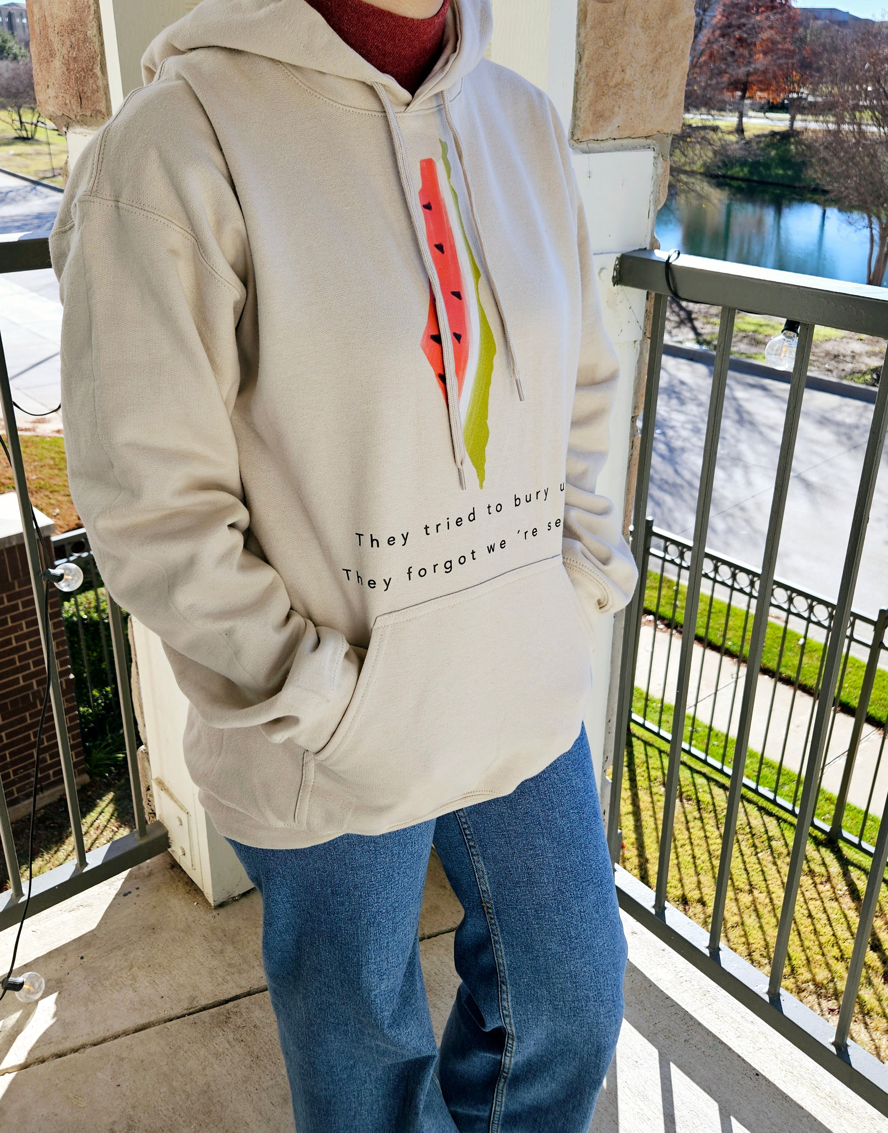 Palestine Watermelon Seeds Hoodie - They Tried to Bury Us... Kids & Adults sizes - Habibi Heritage