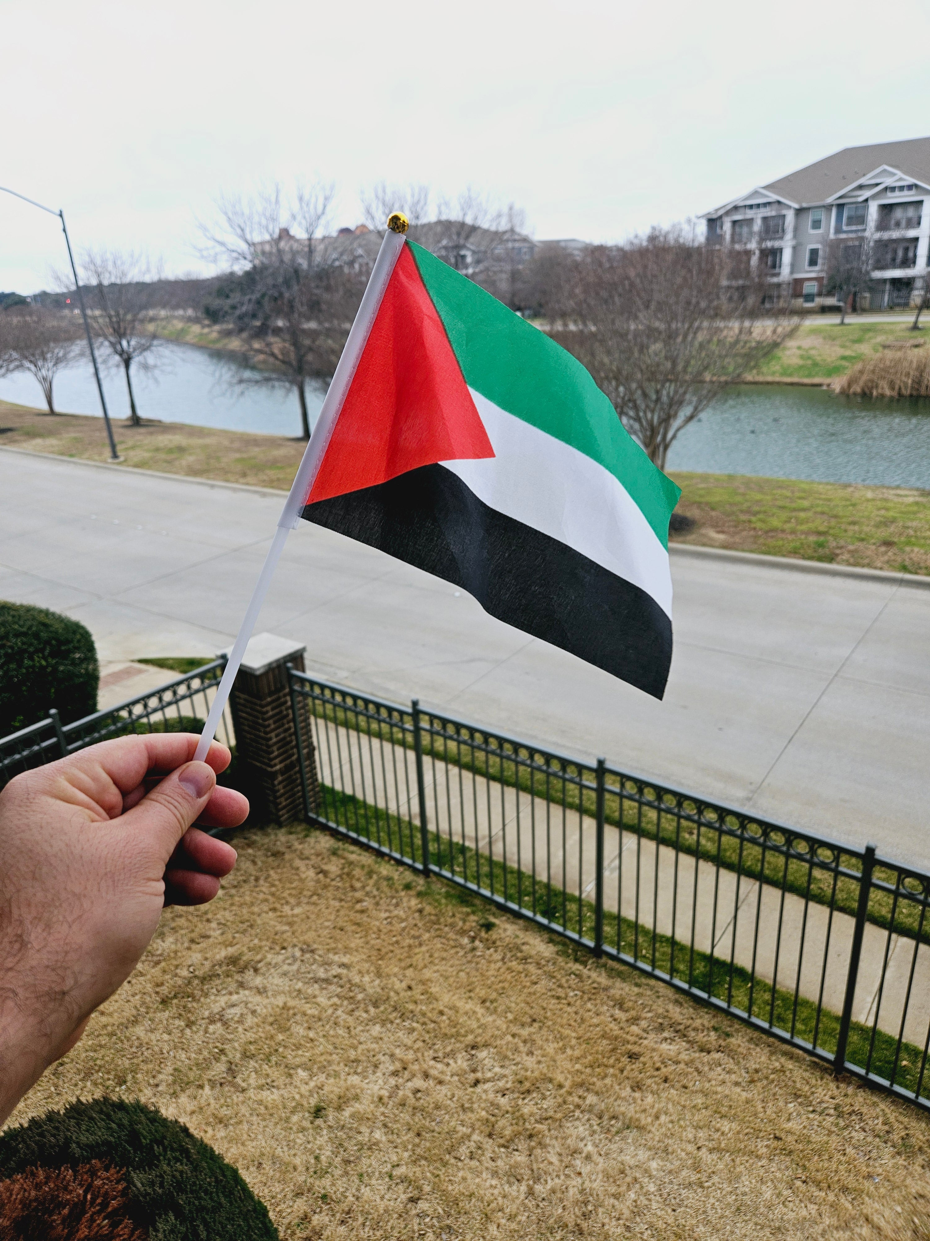 Small Palestine Flag 5 or 10 pack  14x21cm (5.5x8.3in) Handheld - Habibi Heritage