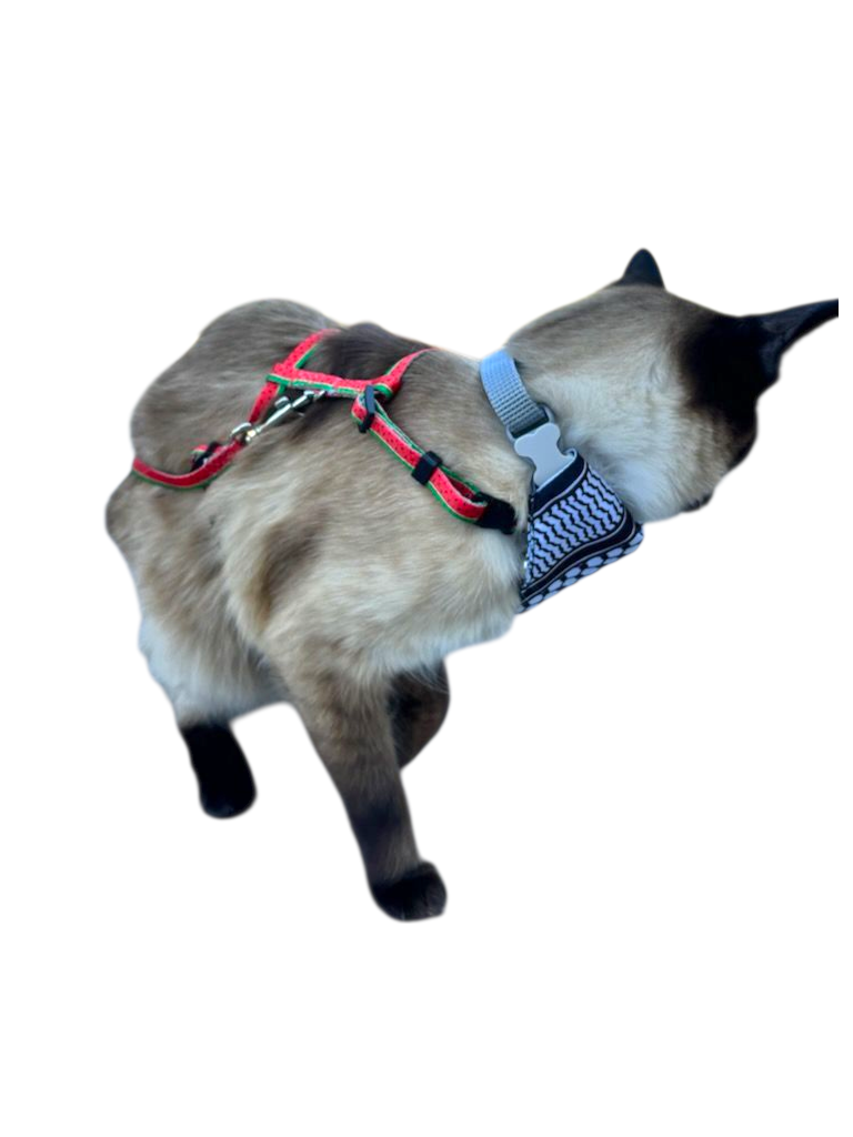 Cat Harness & Leash Set - Watermelon and Keffiyeh Pattern