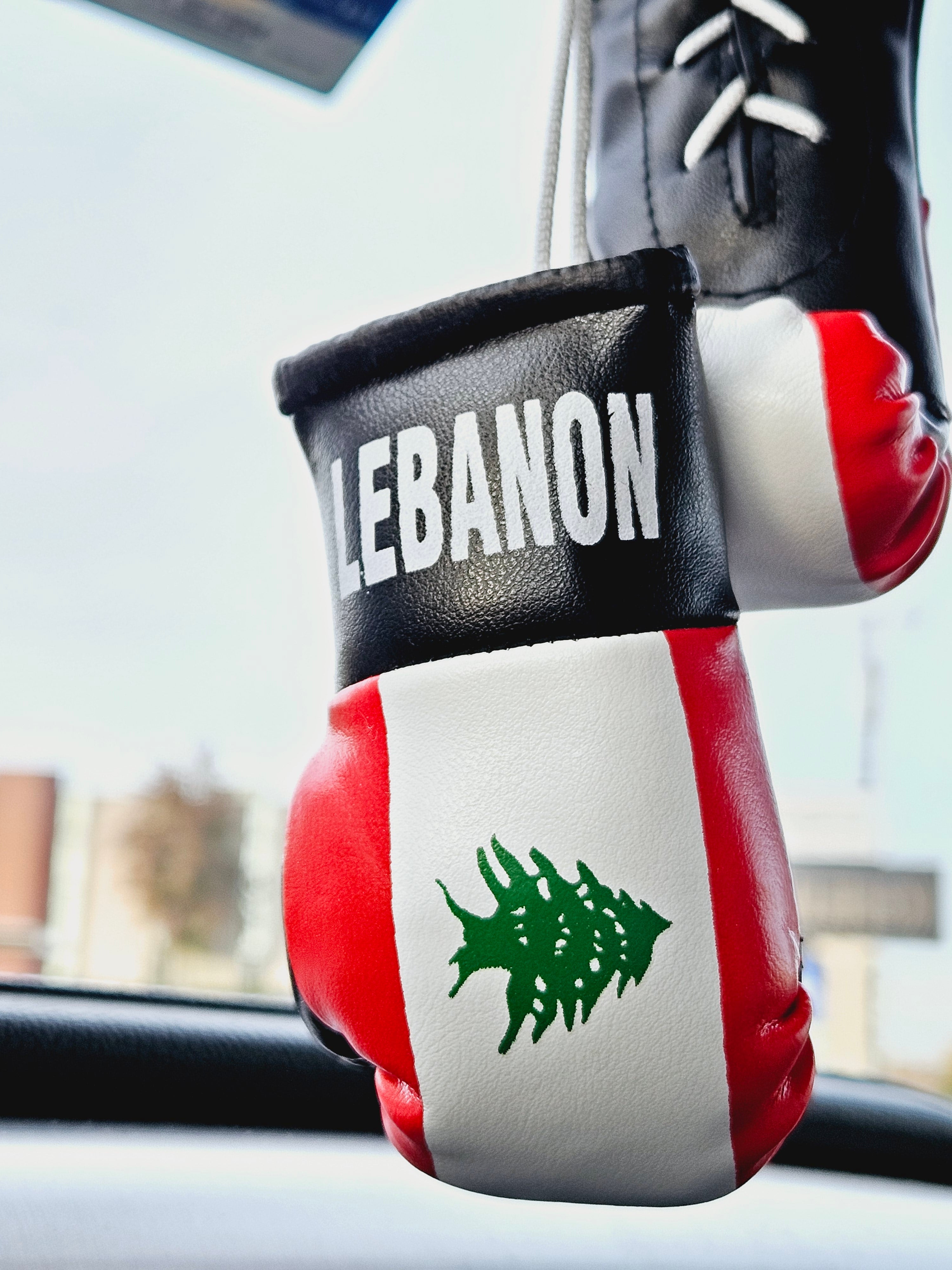 Lebanon Mini Boxing Gloves For Hanging - Habibi Heritage