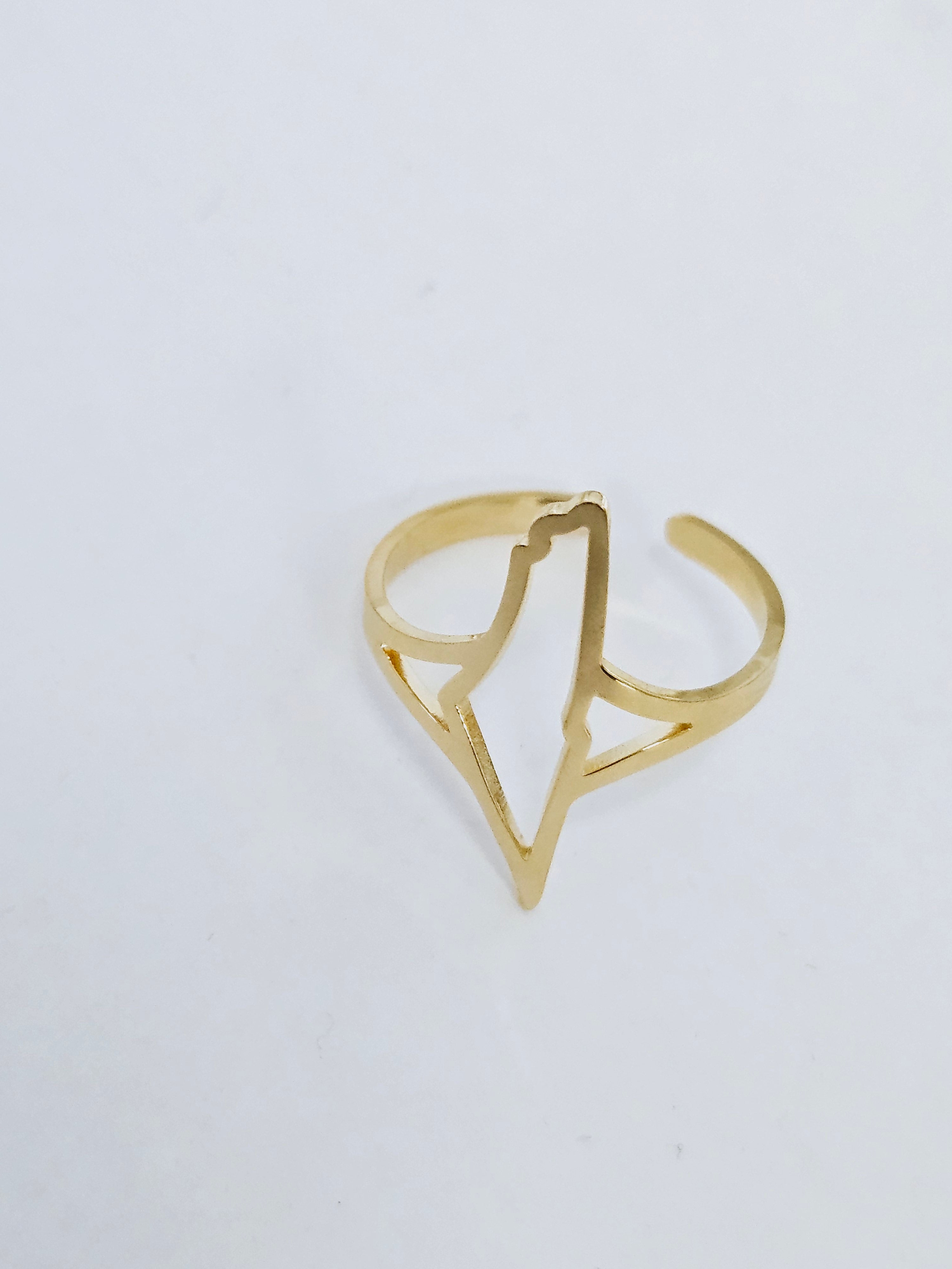 Palestine Hollow Ring Adjustable Size - Habibi Heritage
