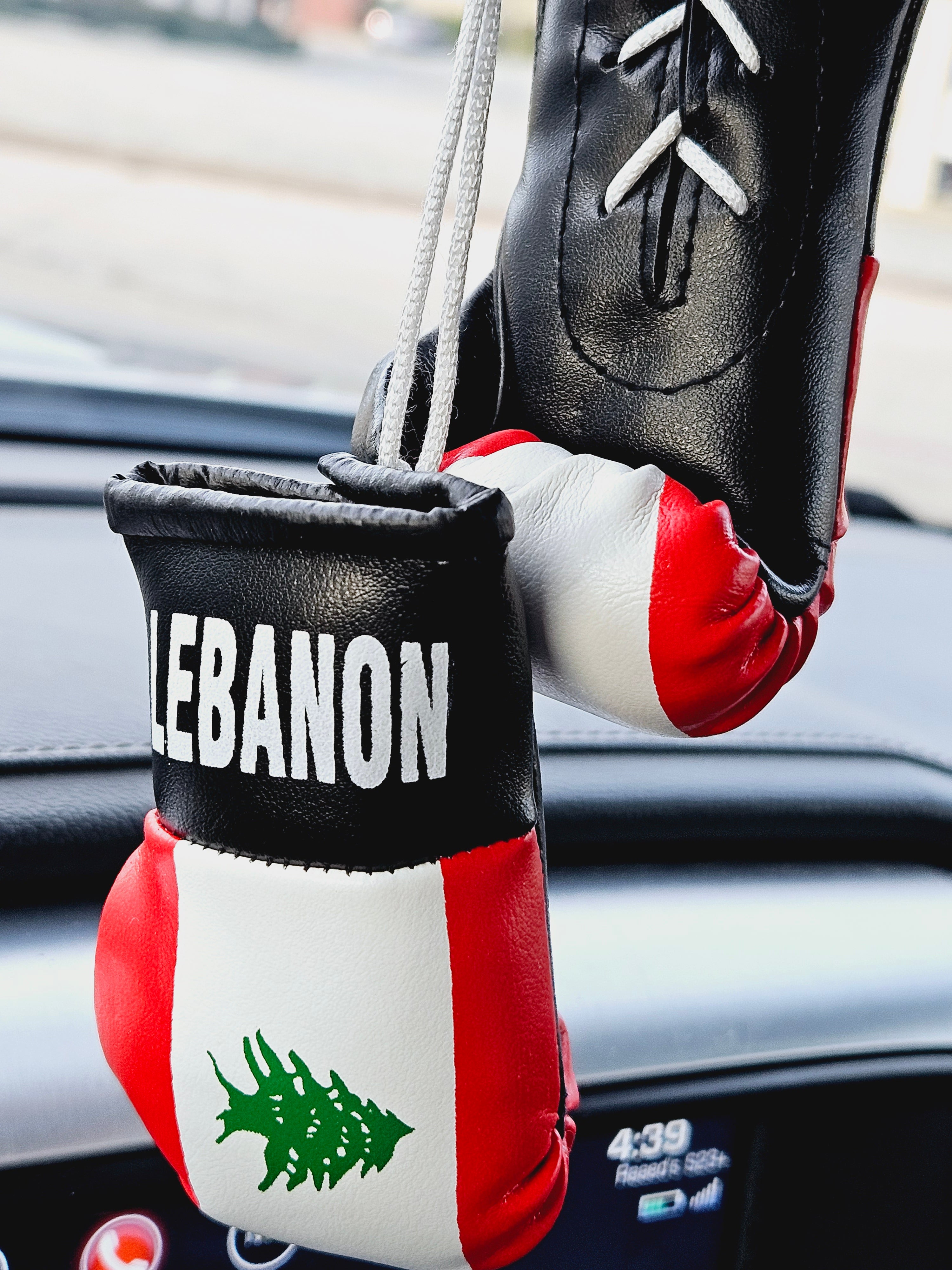 Lebanon Mini Boxing Gloves For Hanging - Habibi Heritage