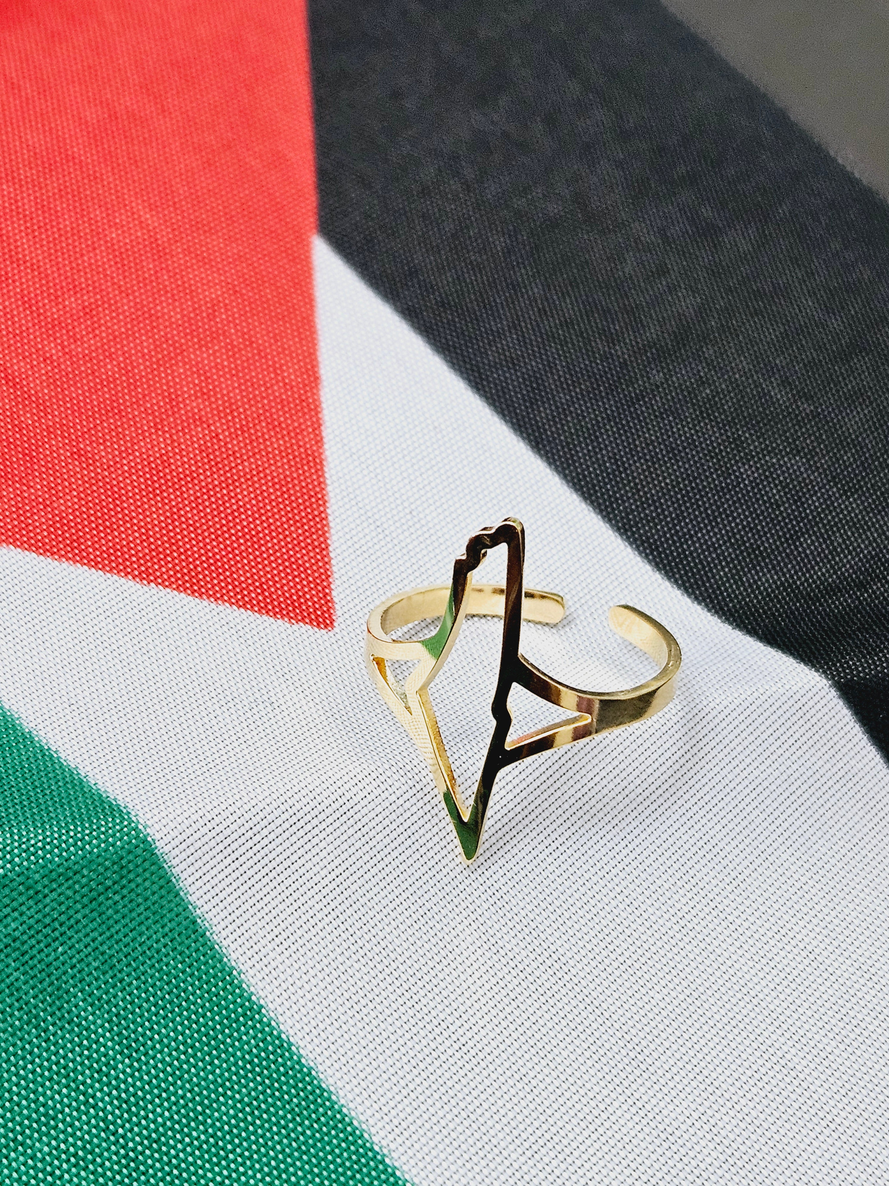 Palestine Hollow Ring Adjustable Size - Habibi Heritage