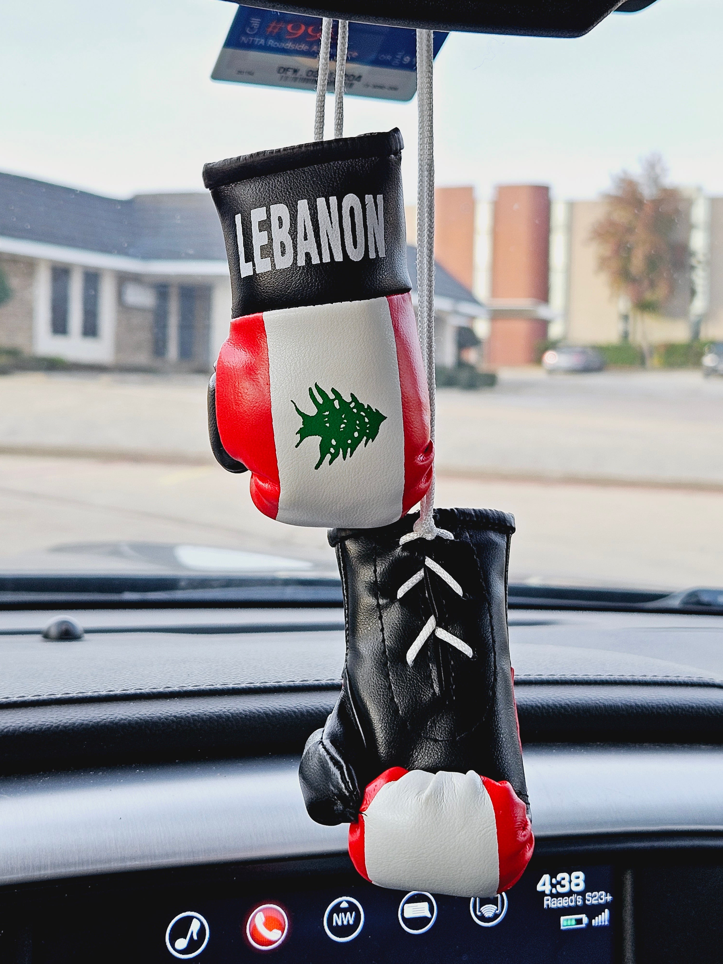 Lebanon Mini Boxing Gloves For Hanging - Habibi Heritage