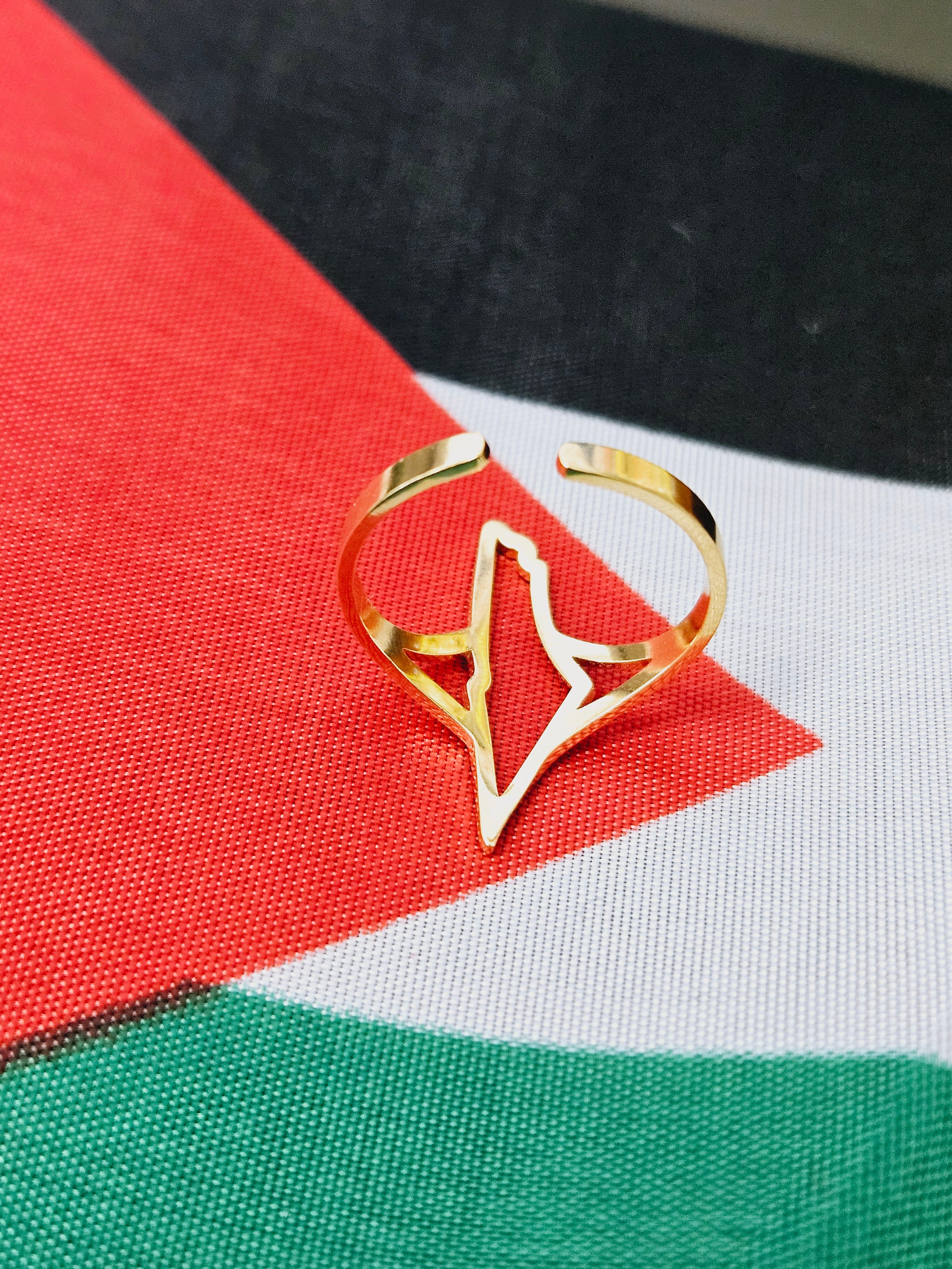 Palestine Hollow Ring Adjustable Size - Habibi Heritage