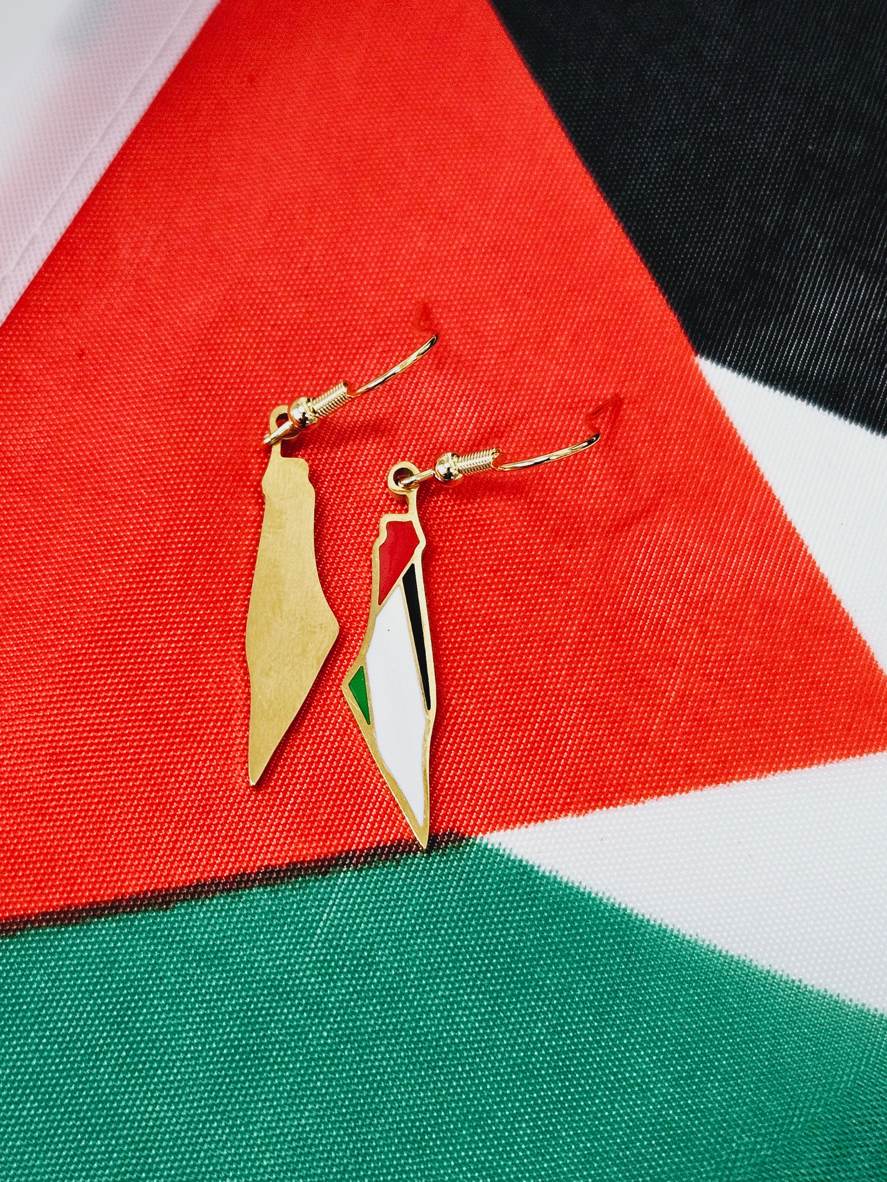 Palestine Map Flag Earrings - Habibi Heritage