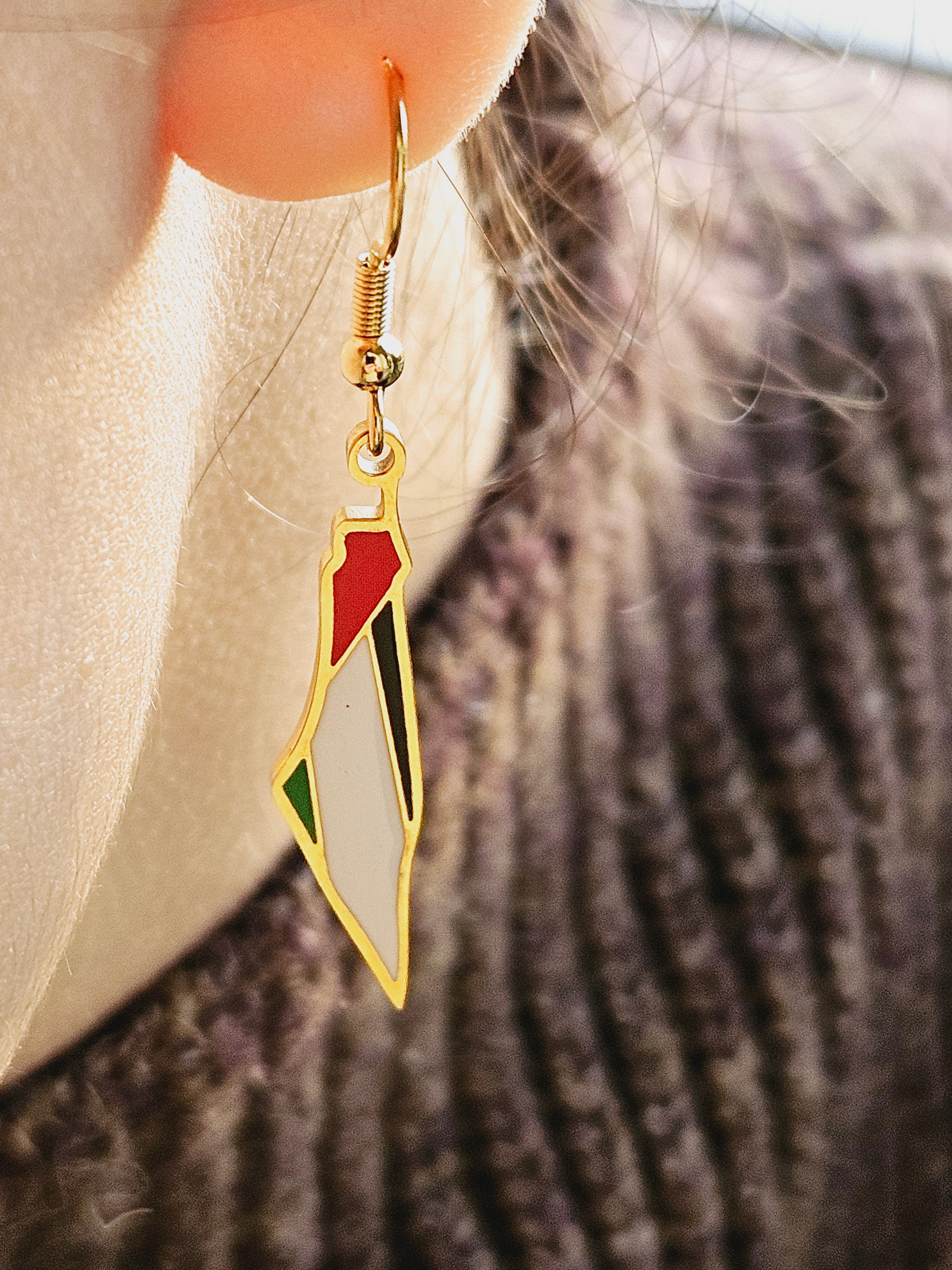 Palestine Map Flag Earrings - Habibi Heritage