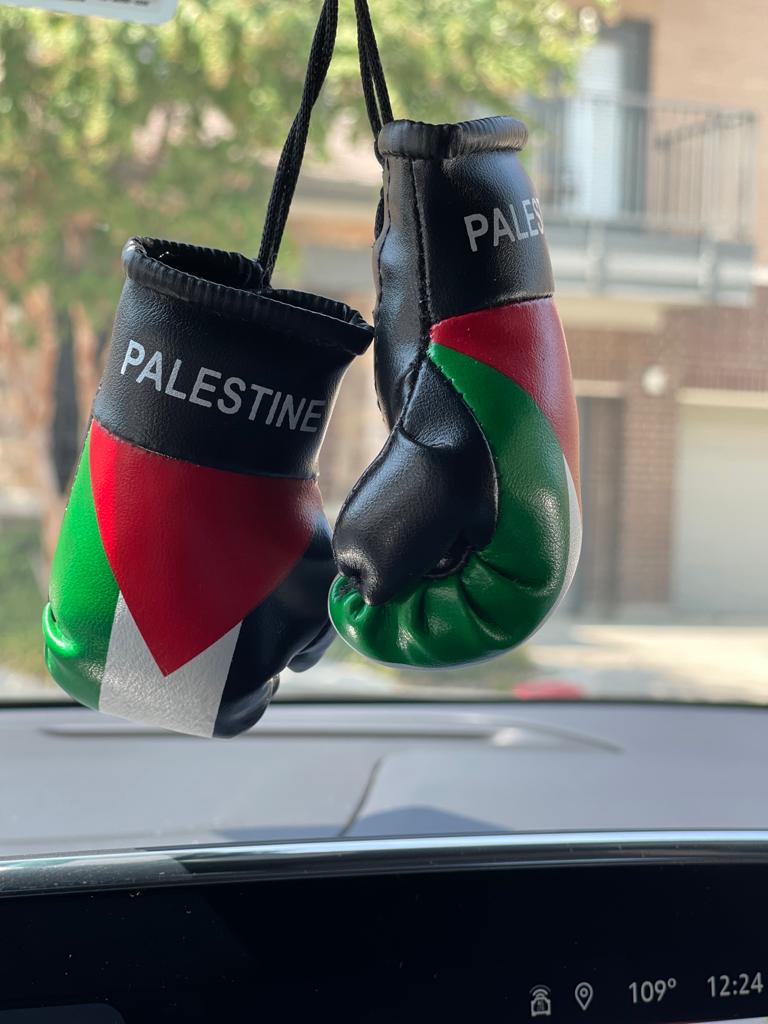 Palestine Mini Boxing Gloves For Hanging - Habibi Heritage
