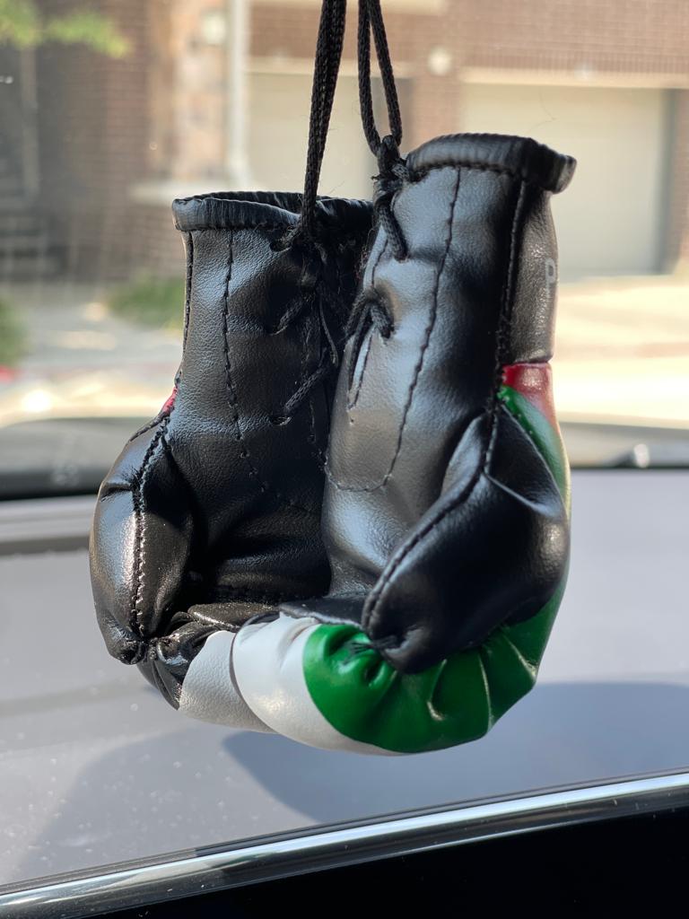 Palestine Mini Boxing Gloves For Hanging - Habibi Heritage