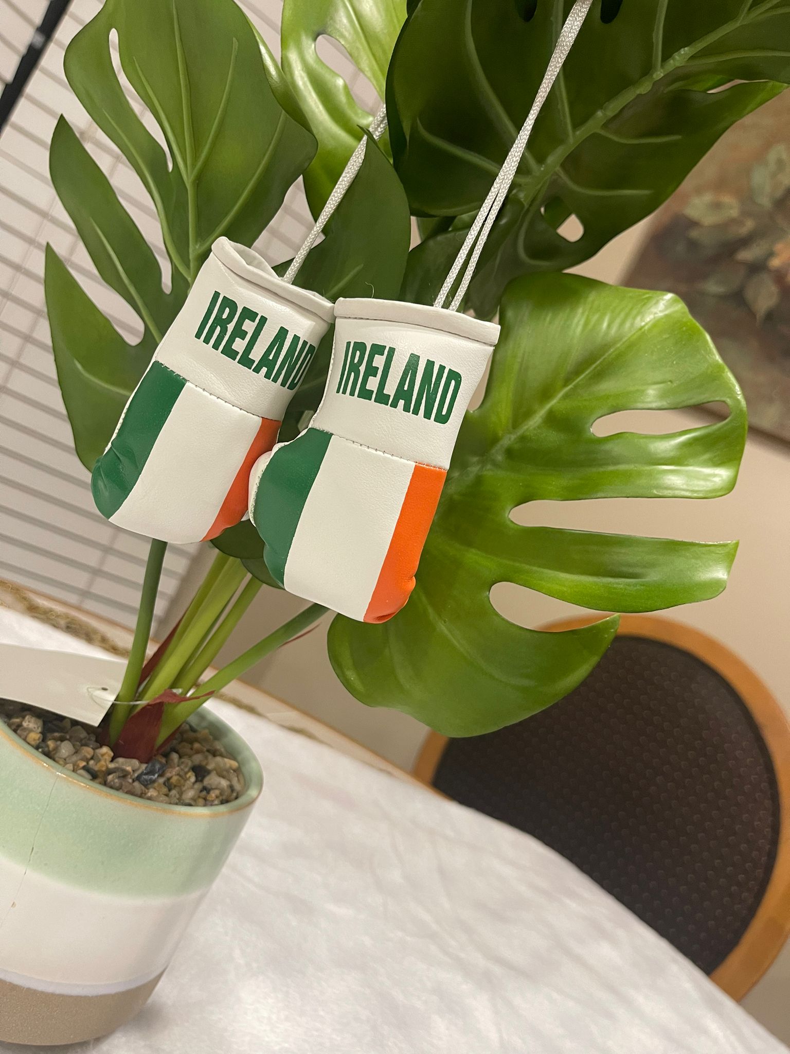 Ireland Flag Mini Boxing Gloves For Hanging - Habibi Heritage