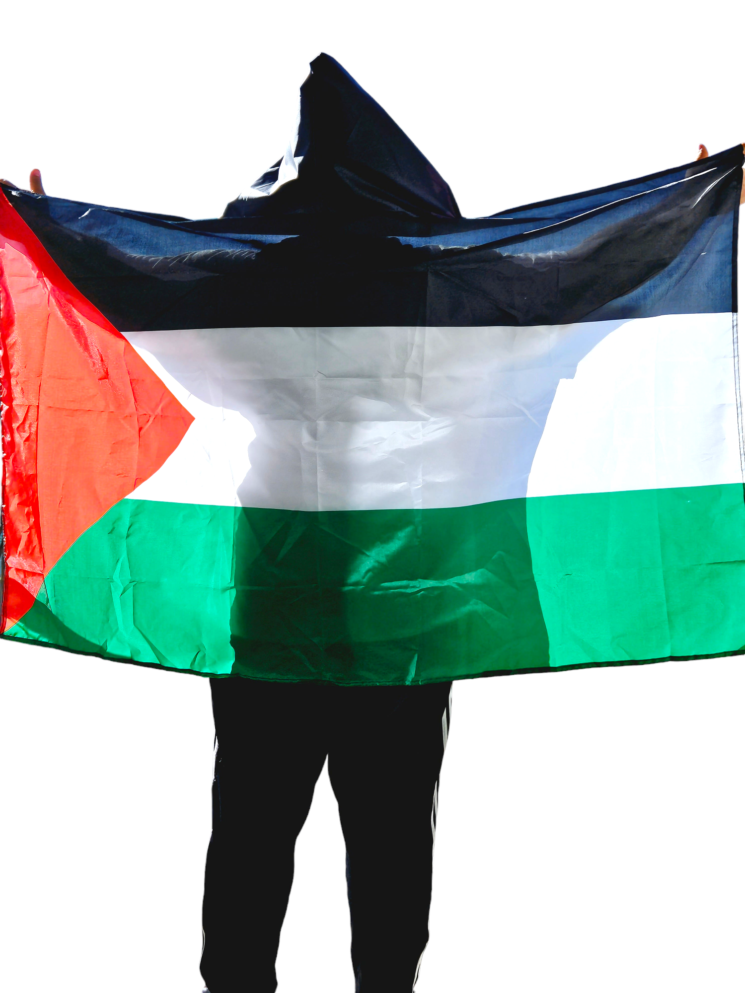 Palestine Cape Flag - Palestinian flag with hoodie and finger loops