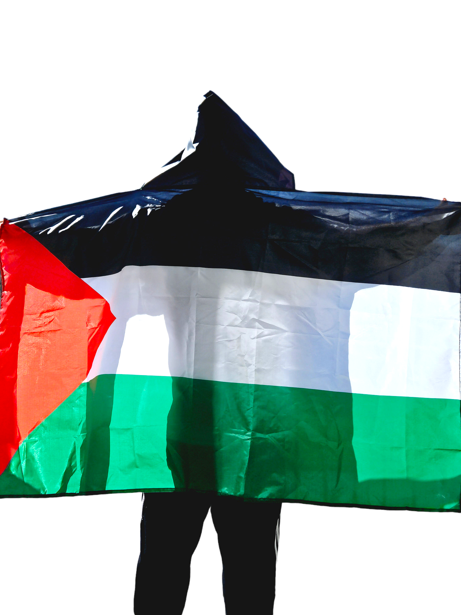 Palestine Cape Flag - Palestinian flag with hoodie and finger loops