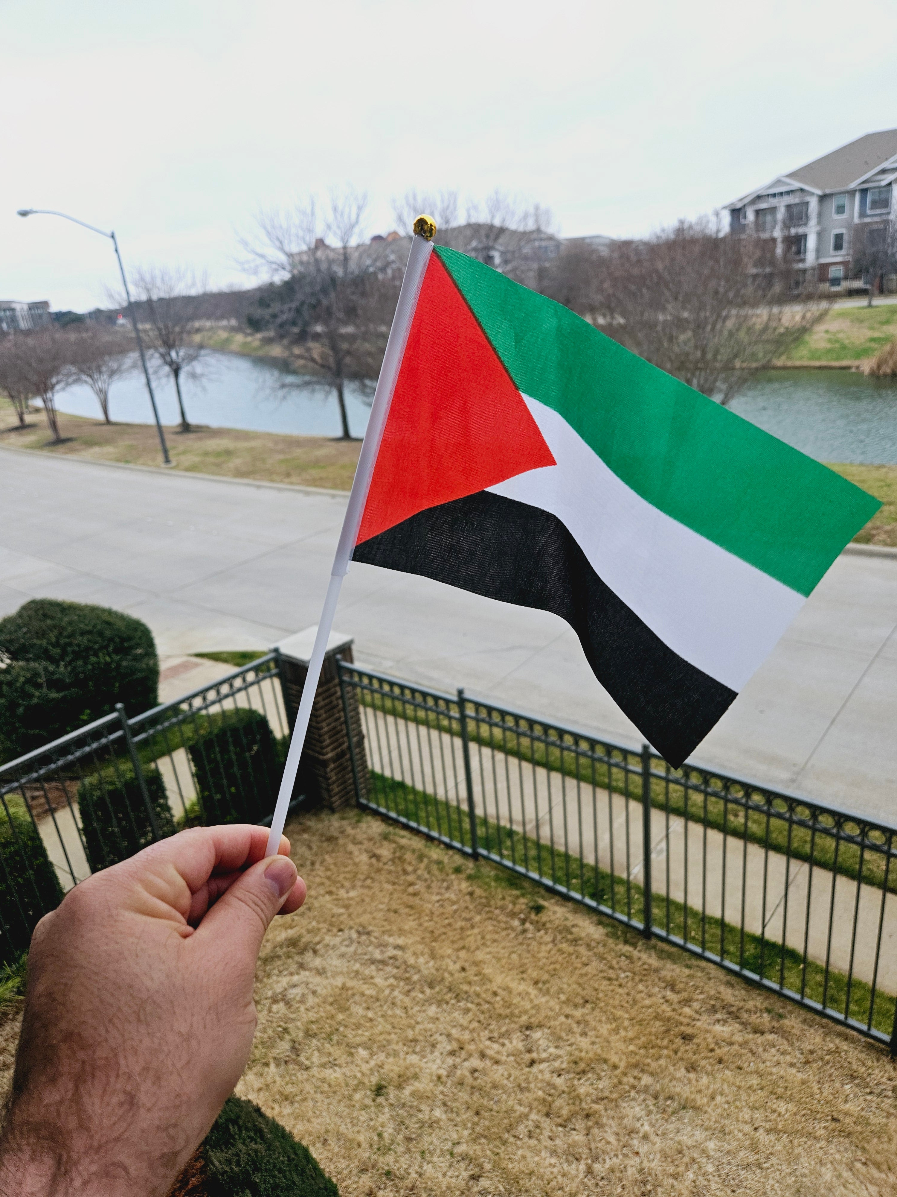 Small Palestine Flag 5 or 10 pack  14x21cm (5.5x8.3in) Handheld - Habibi Heritage