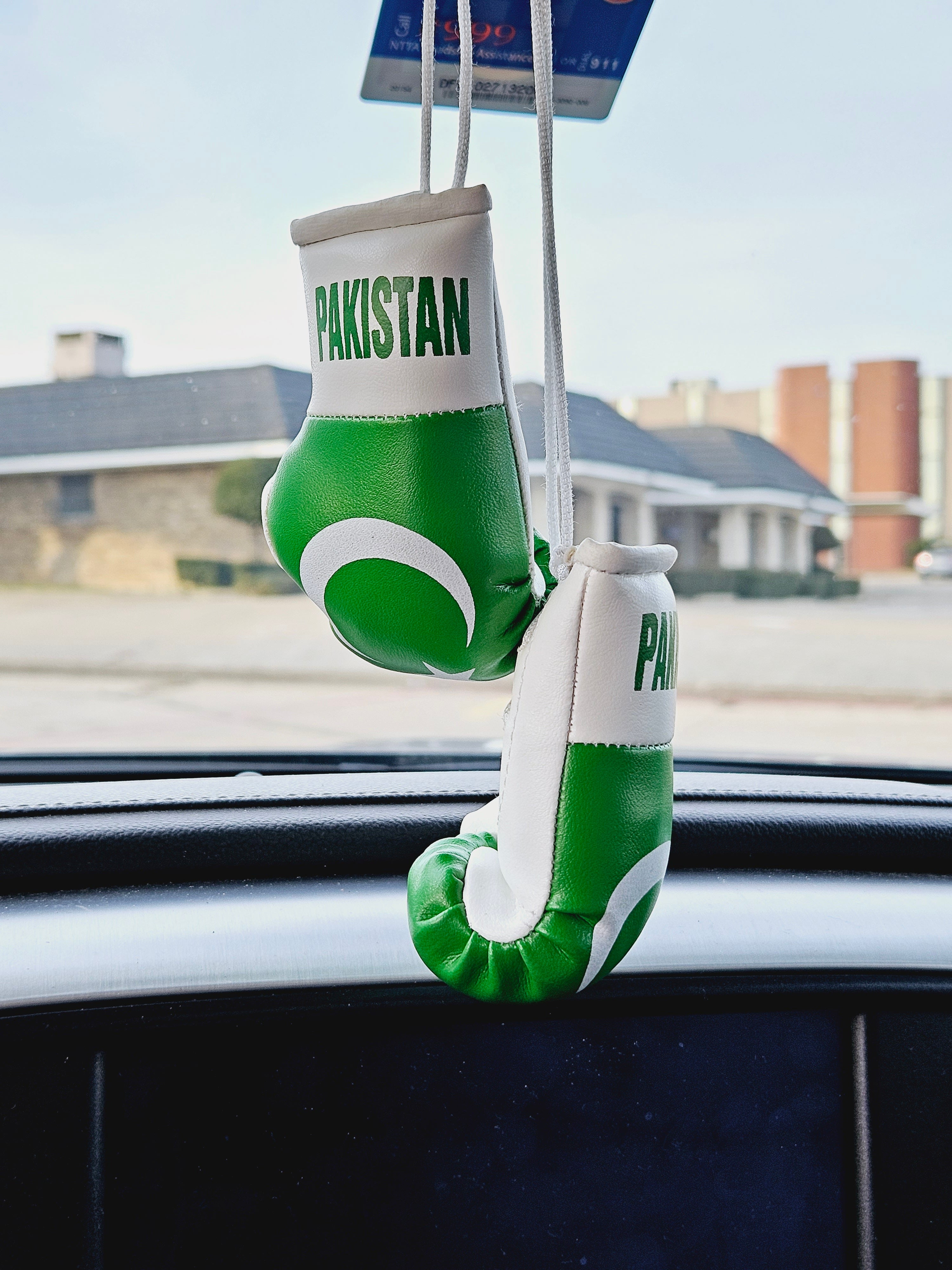 PAKISTAN Mini Boxing Gloves For Hanging - Habibi Heritage