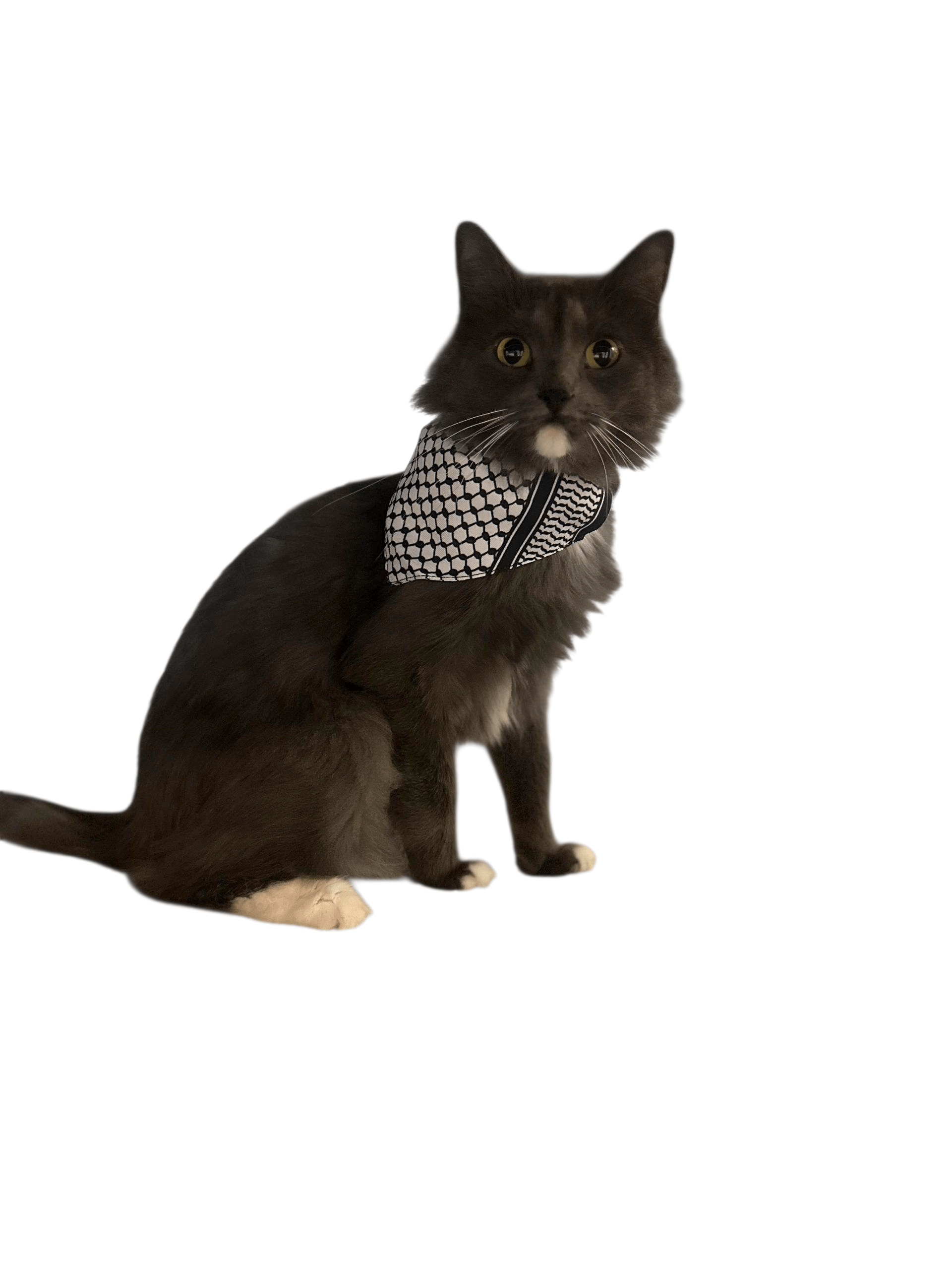 Keffiyeh Printed Pet Scarf -  Adjustable Cat Bandana with Secure Clip
