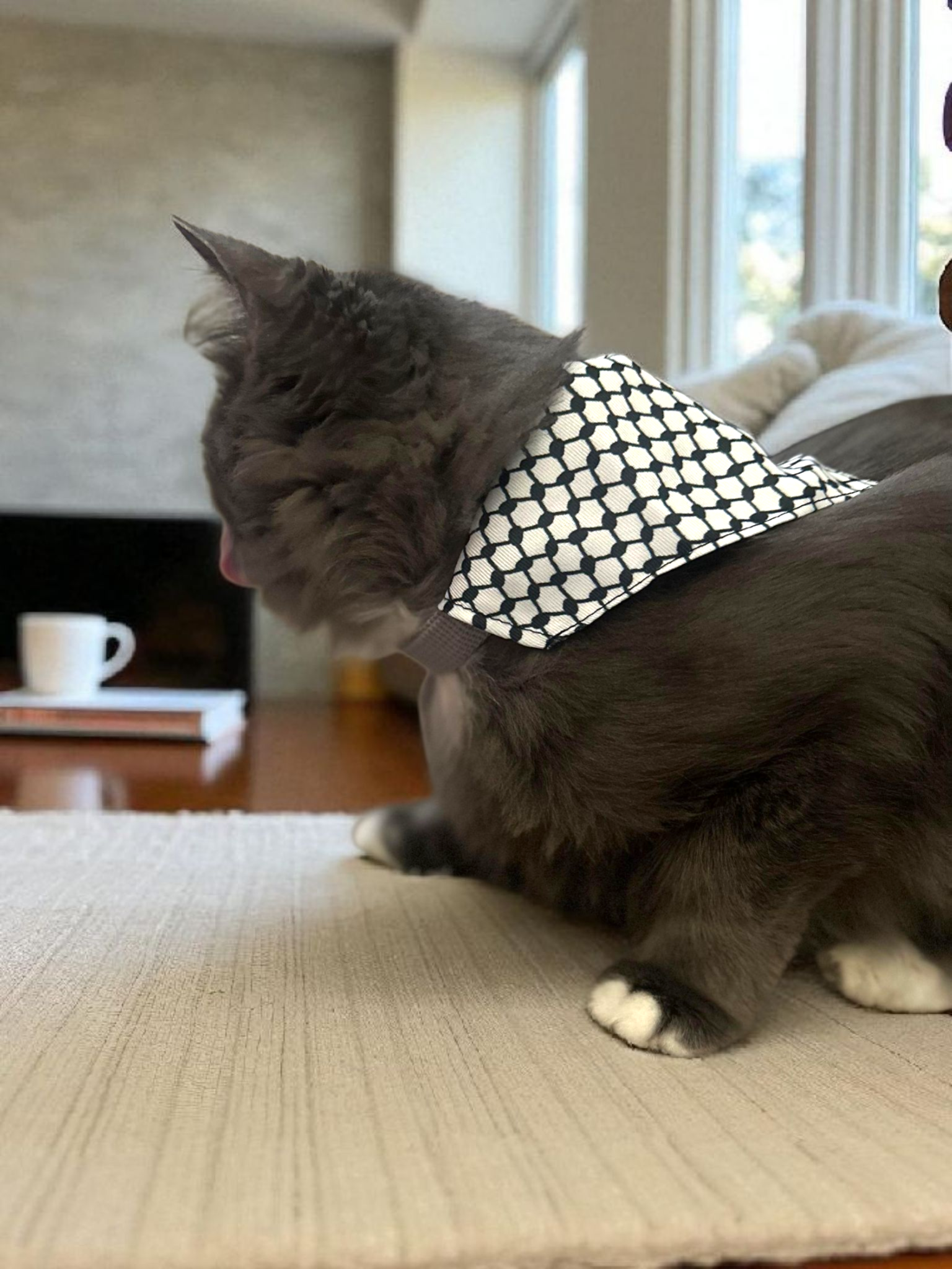 Keffiyeh Printed Pet Scarf -  Adjustable Cat Bandana with Secure Clip