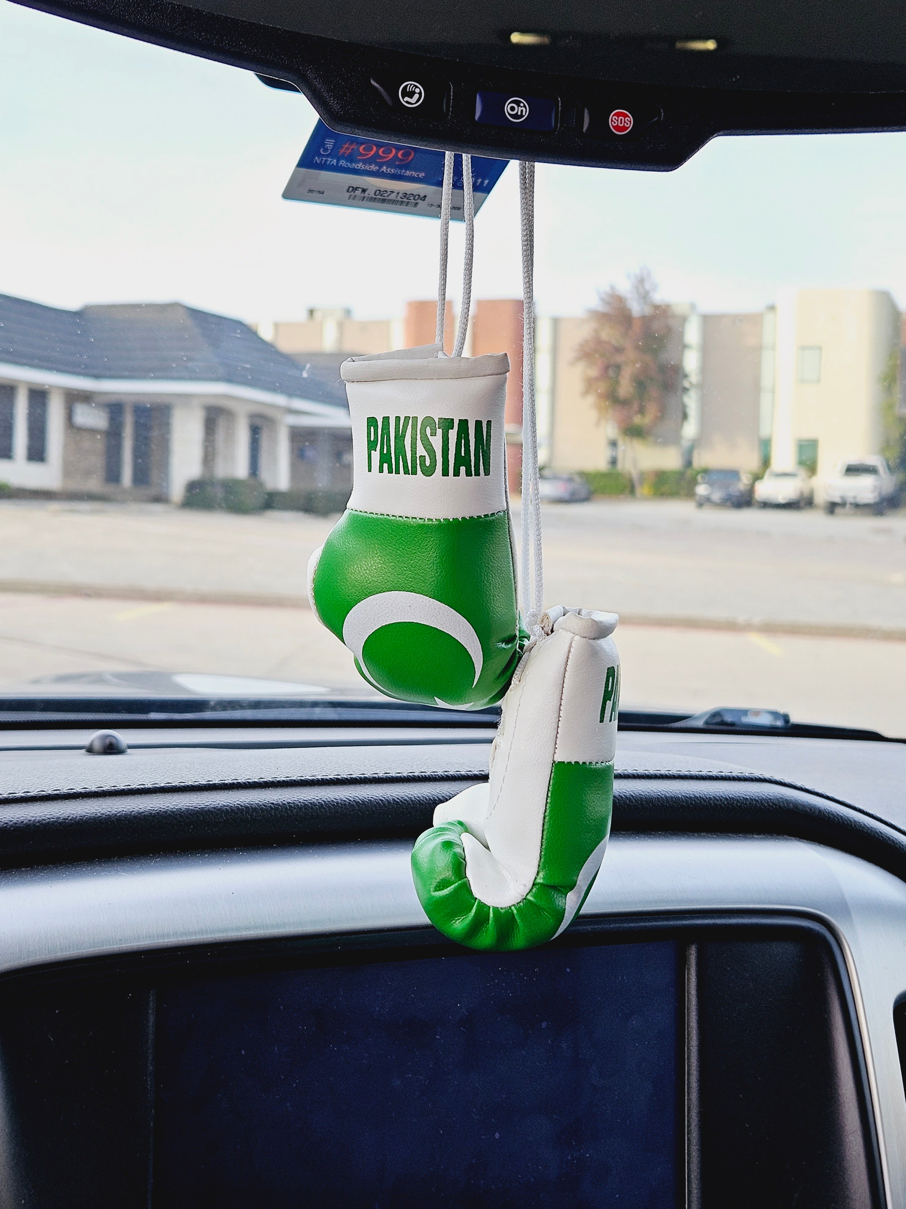 PAKISTAN Mini Boxing Gloves For Hanging - Habibi Heritage