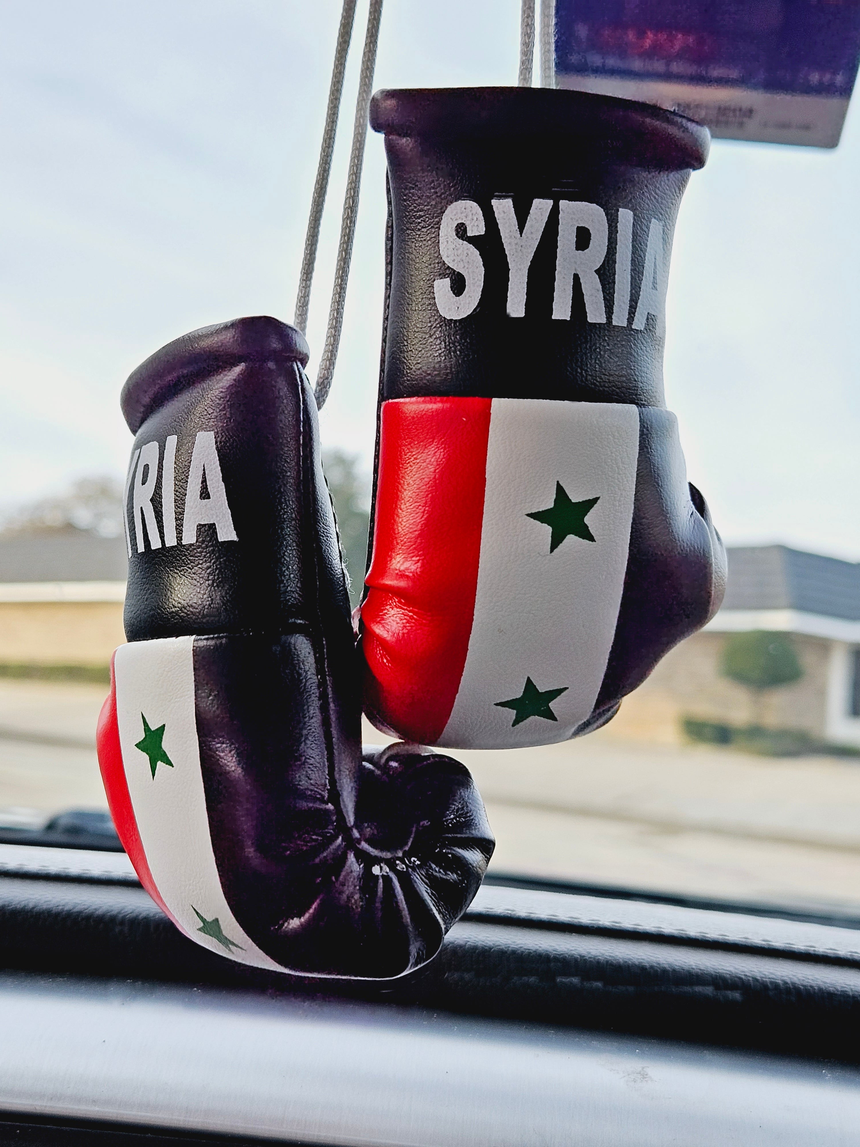 Syria Mini Boxing Gloves For Hanging - Habibi Heritage