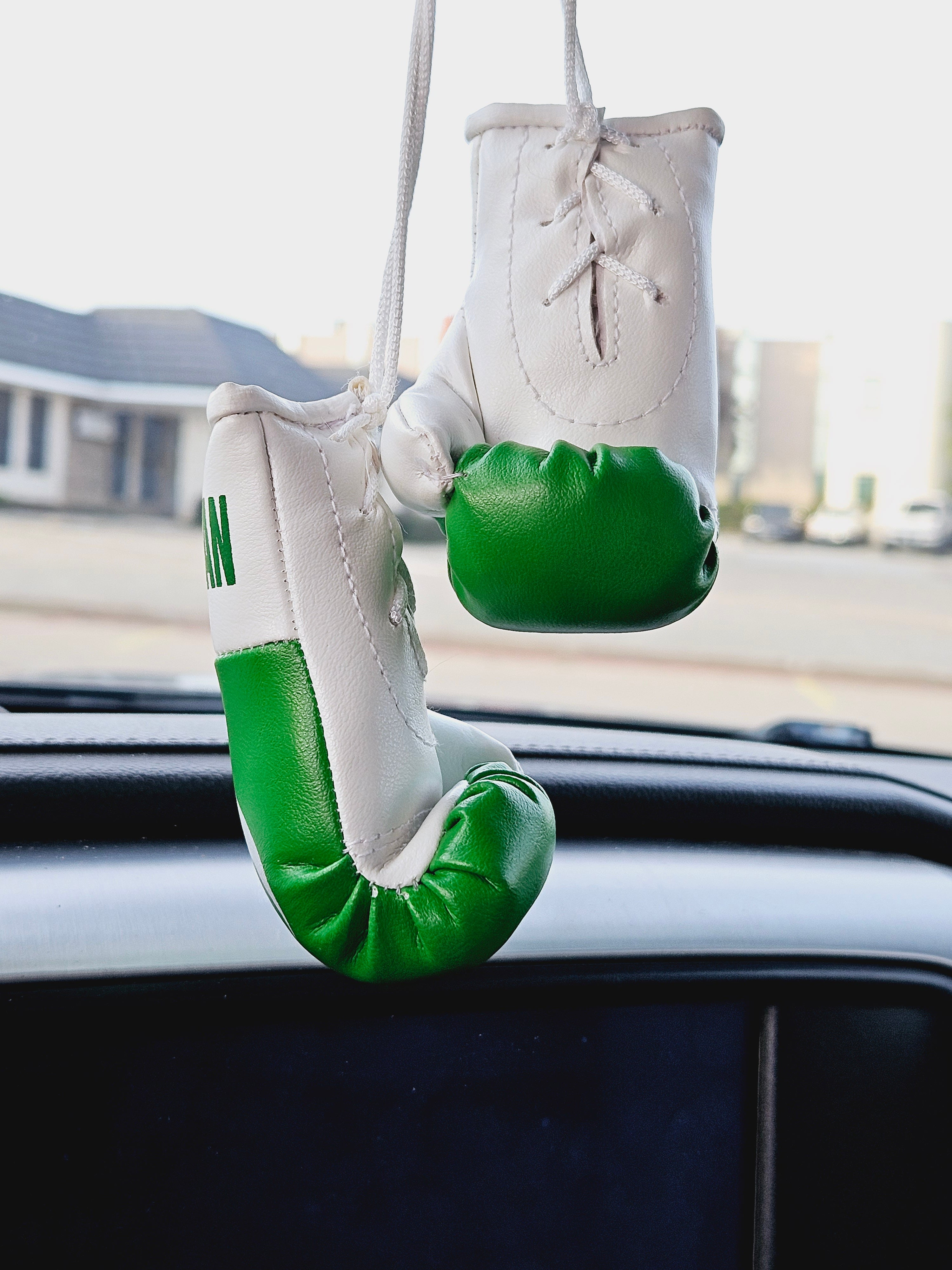 PAKISTAN Mini Boxing Gloves For Hanging - Habibi Heritage