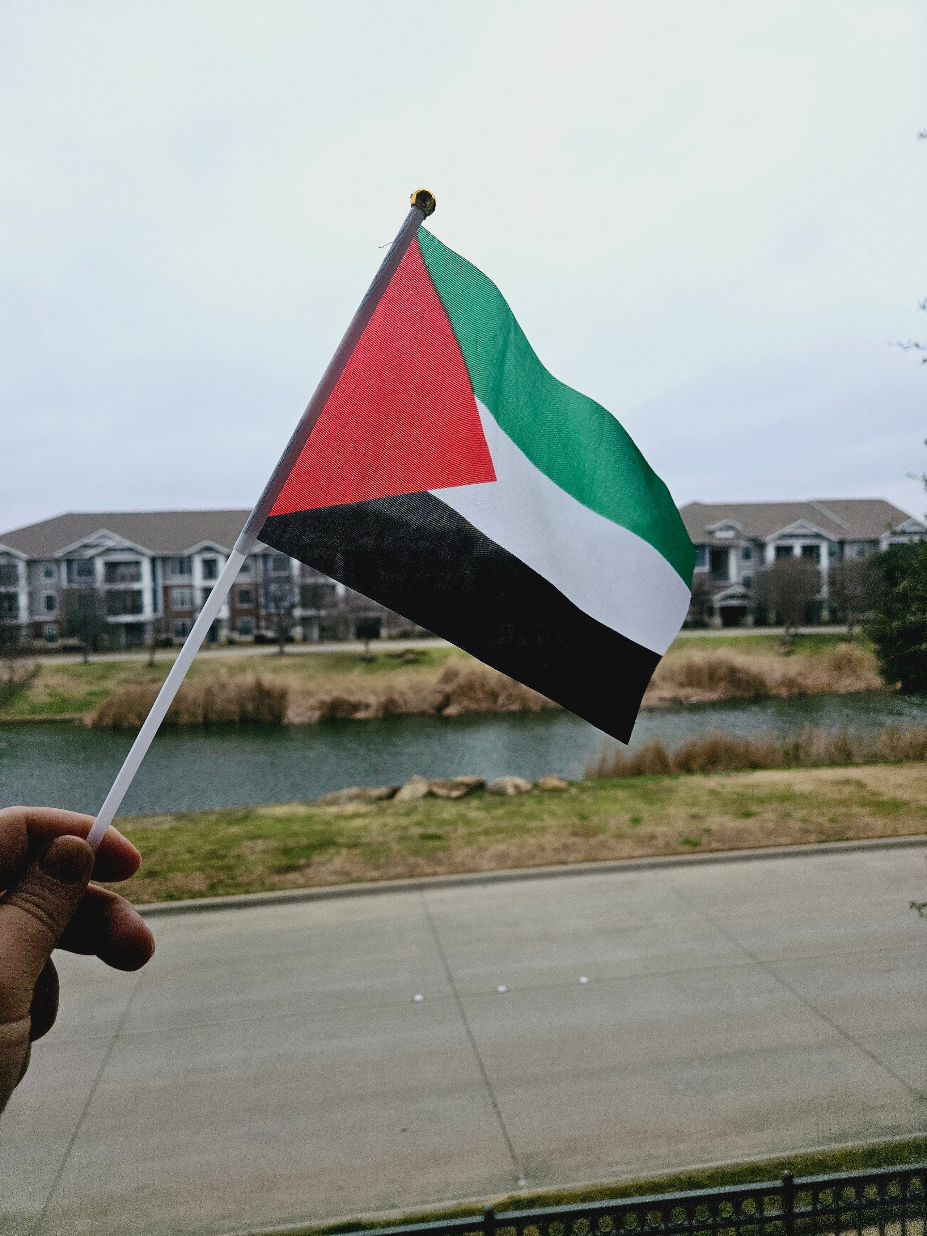 Small Palestine Flag 5 or 10 pack  14x21cm (5.5x8.3in) Handheld - Habibi Heritage