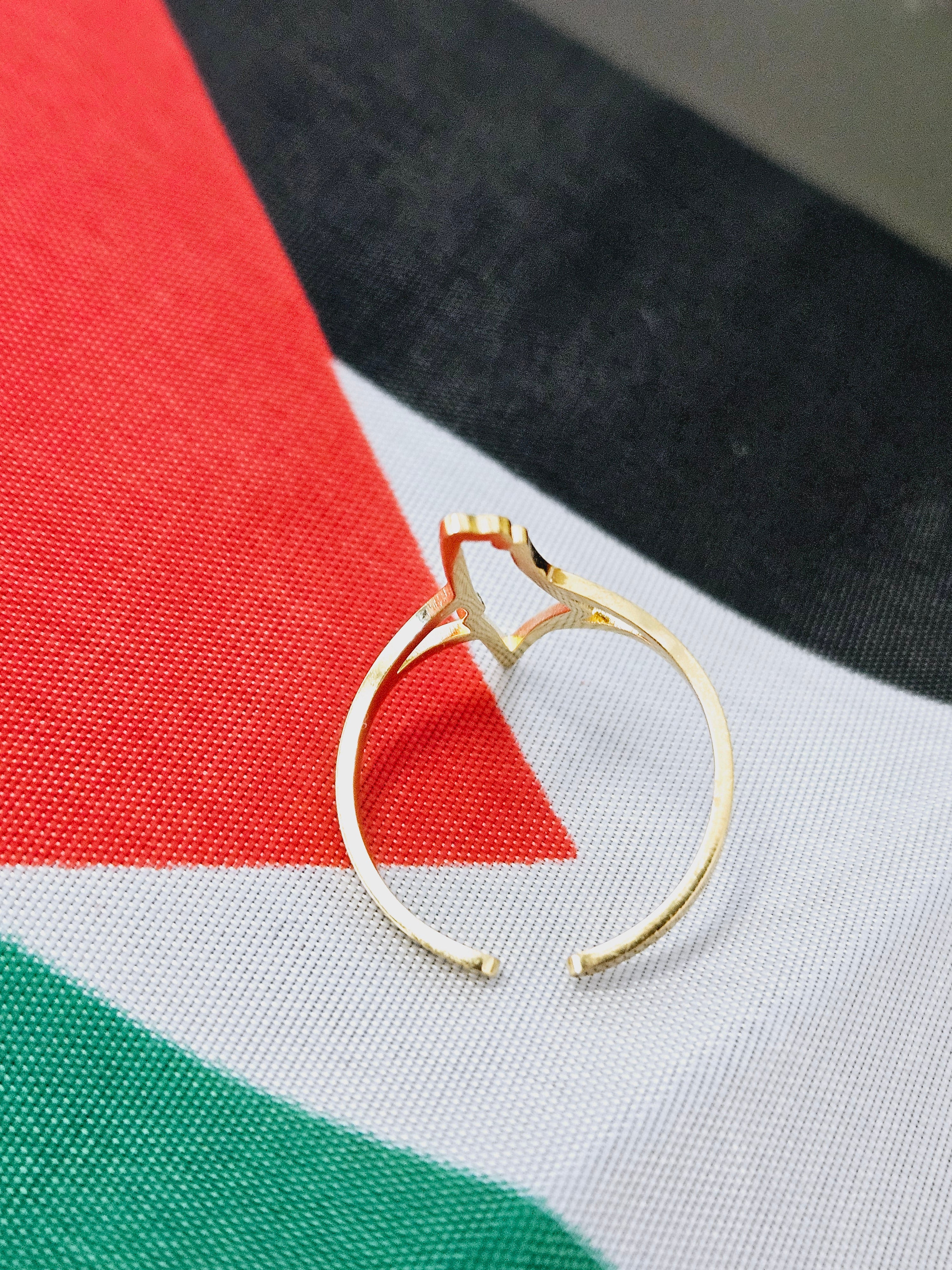 Palestine Hollow Ring Adjustable Size - Habibi Heritage