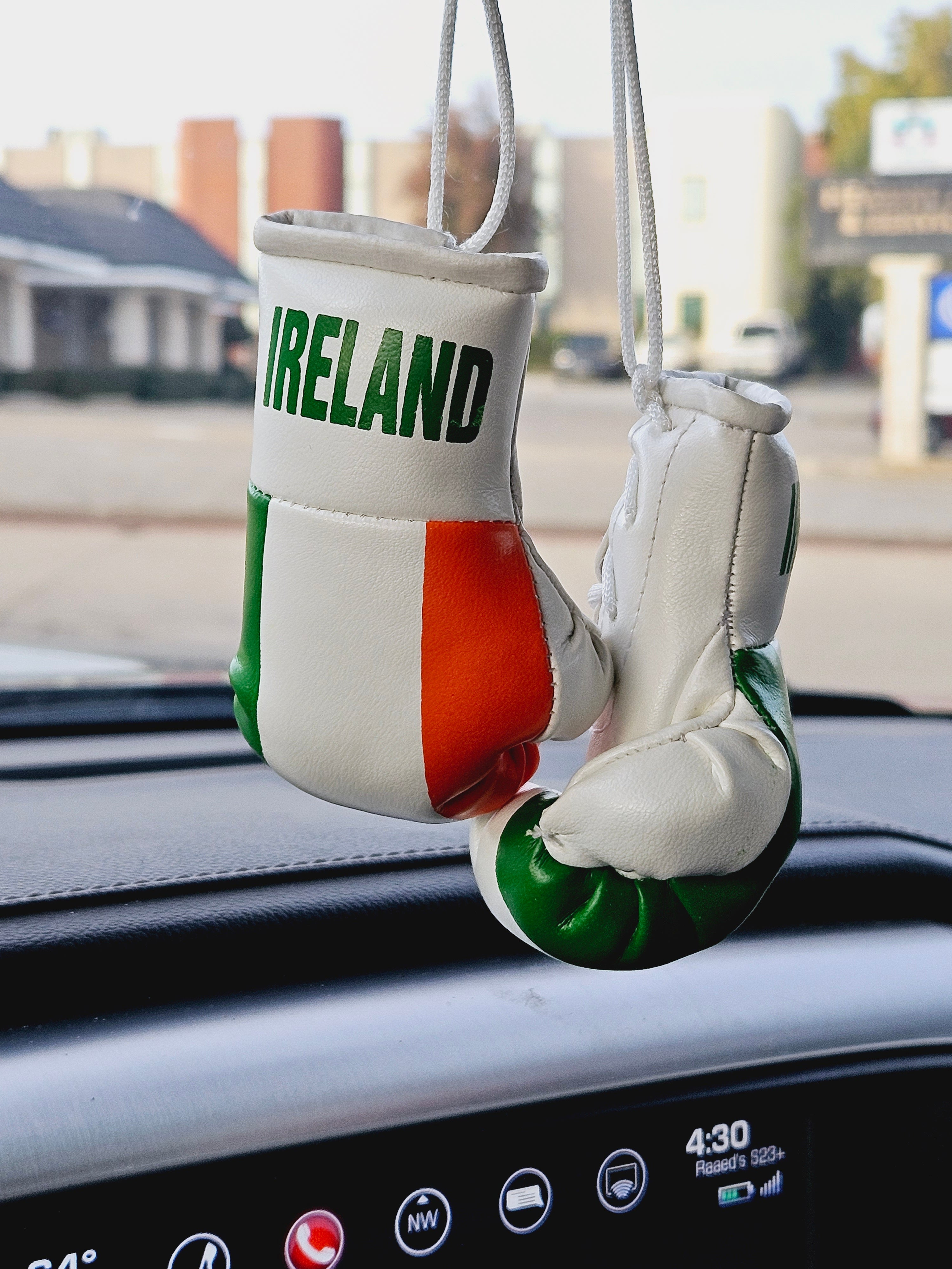 Ireland Flag Mini Boxing Gloves For Hanging - Habibi Heritage