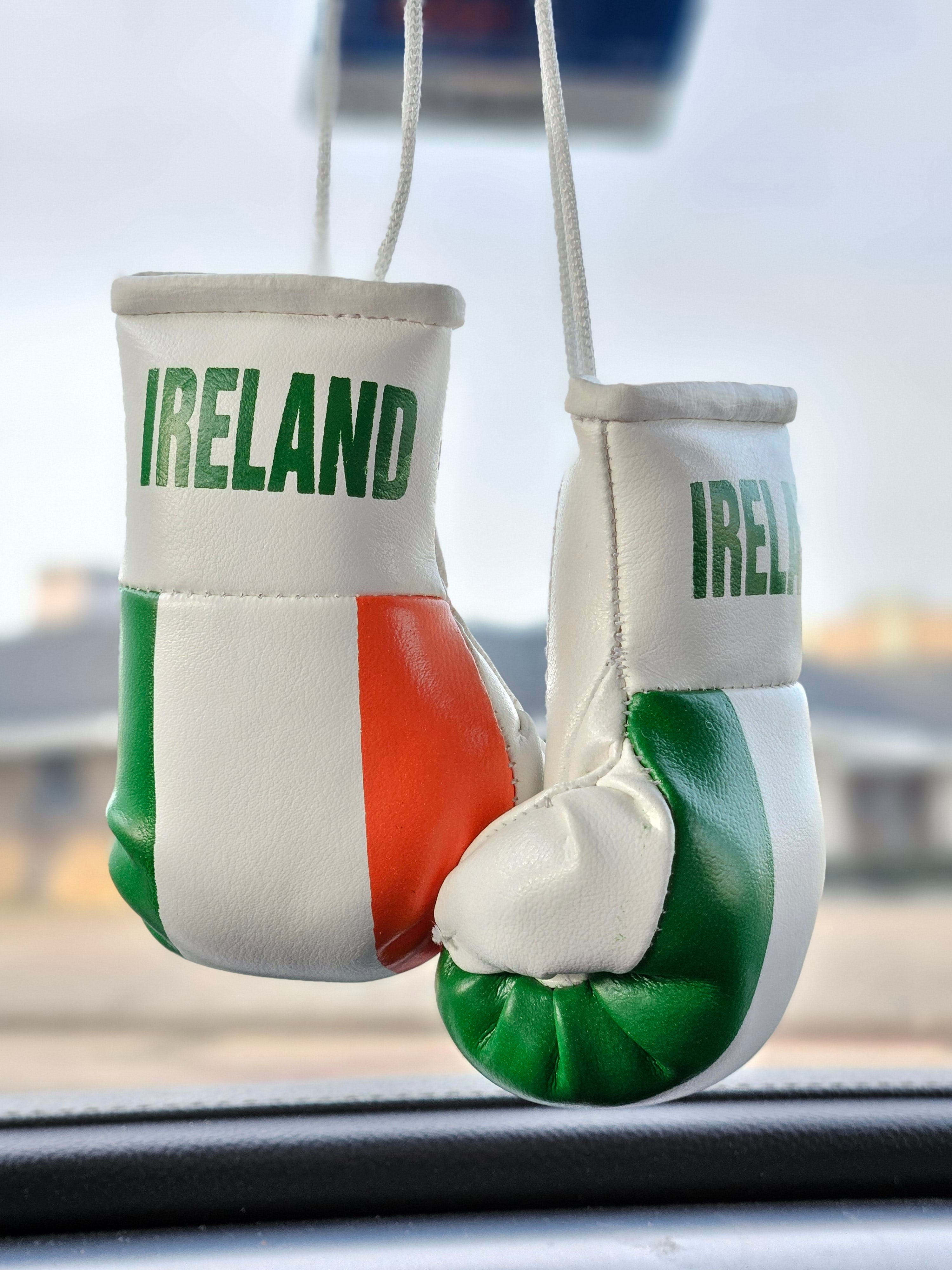 Ireland Flag Mini Boxing Gloves For Hanging - Habibi Heritage