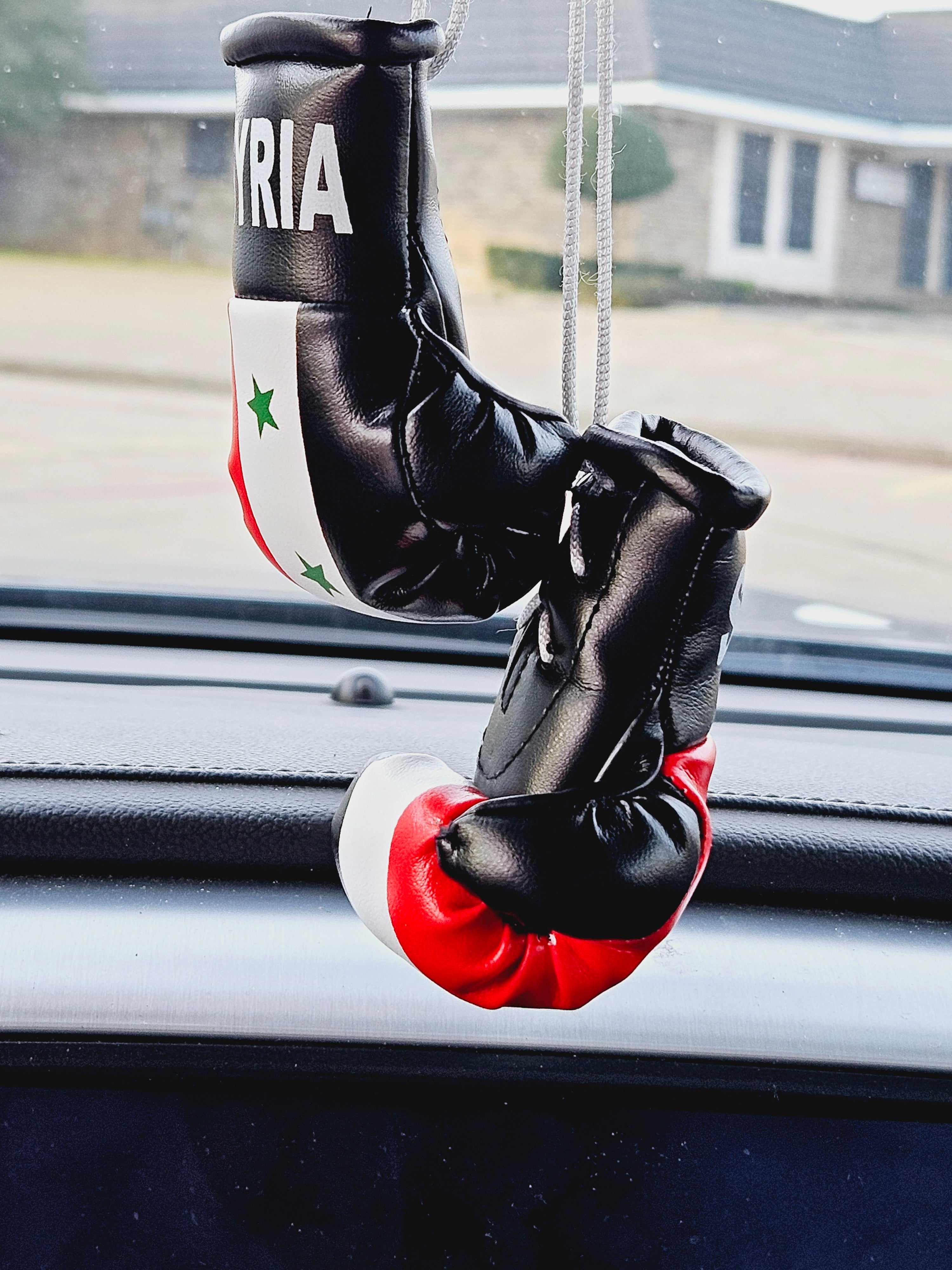 Syria Mini Boxing Gloves For Hanging - Habibi Heritage