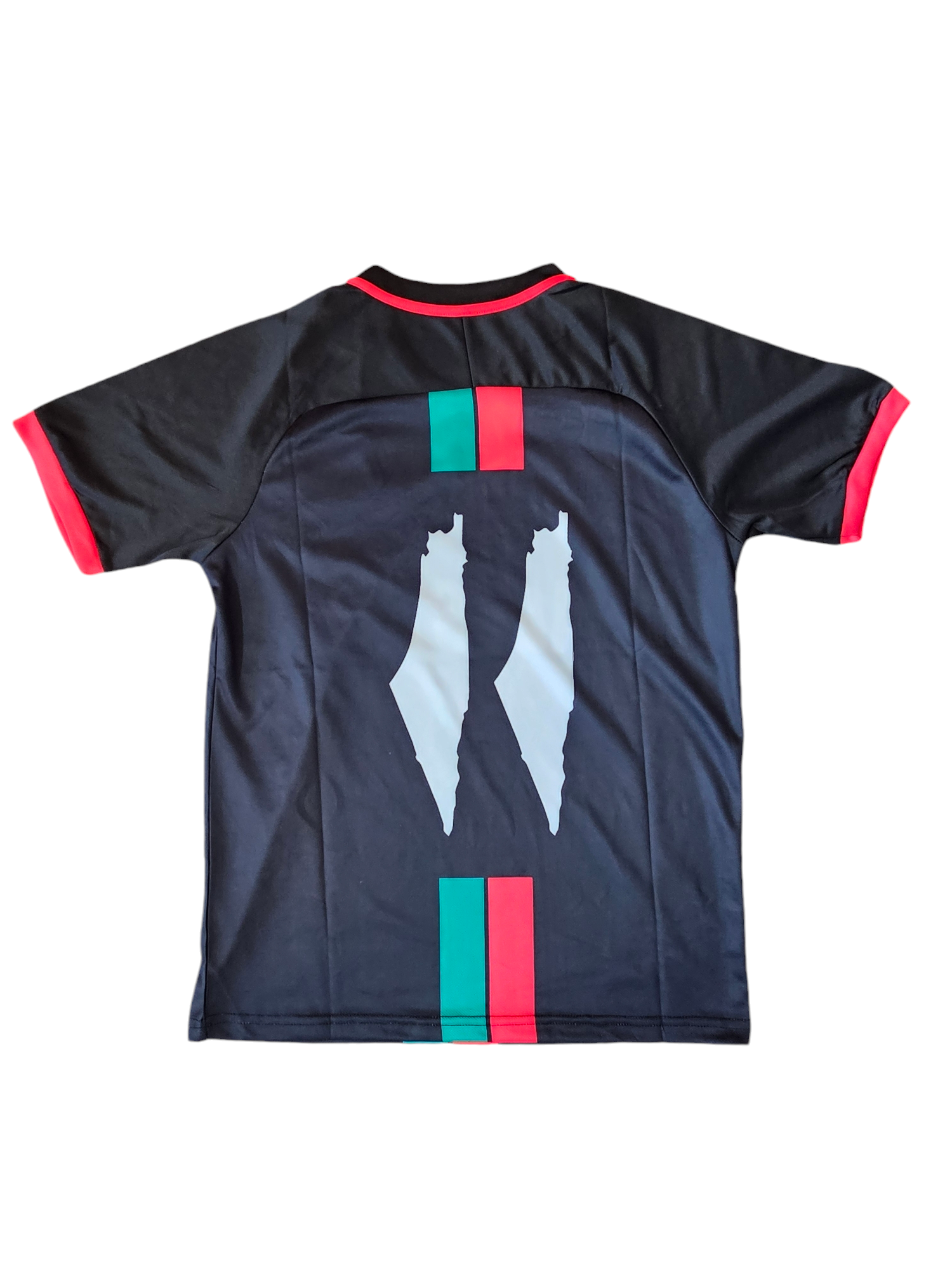 CLOSEOUT!! Palestine Jersey