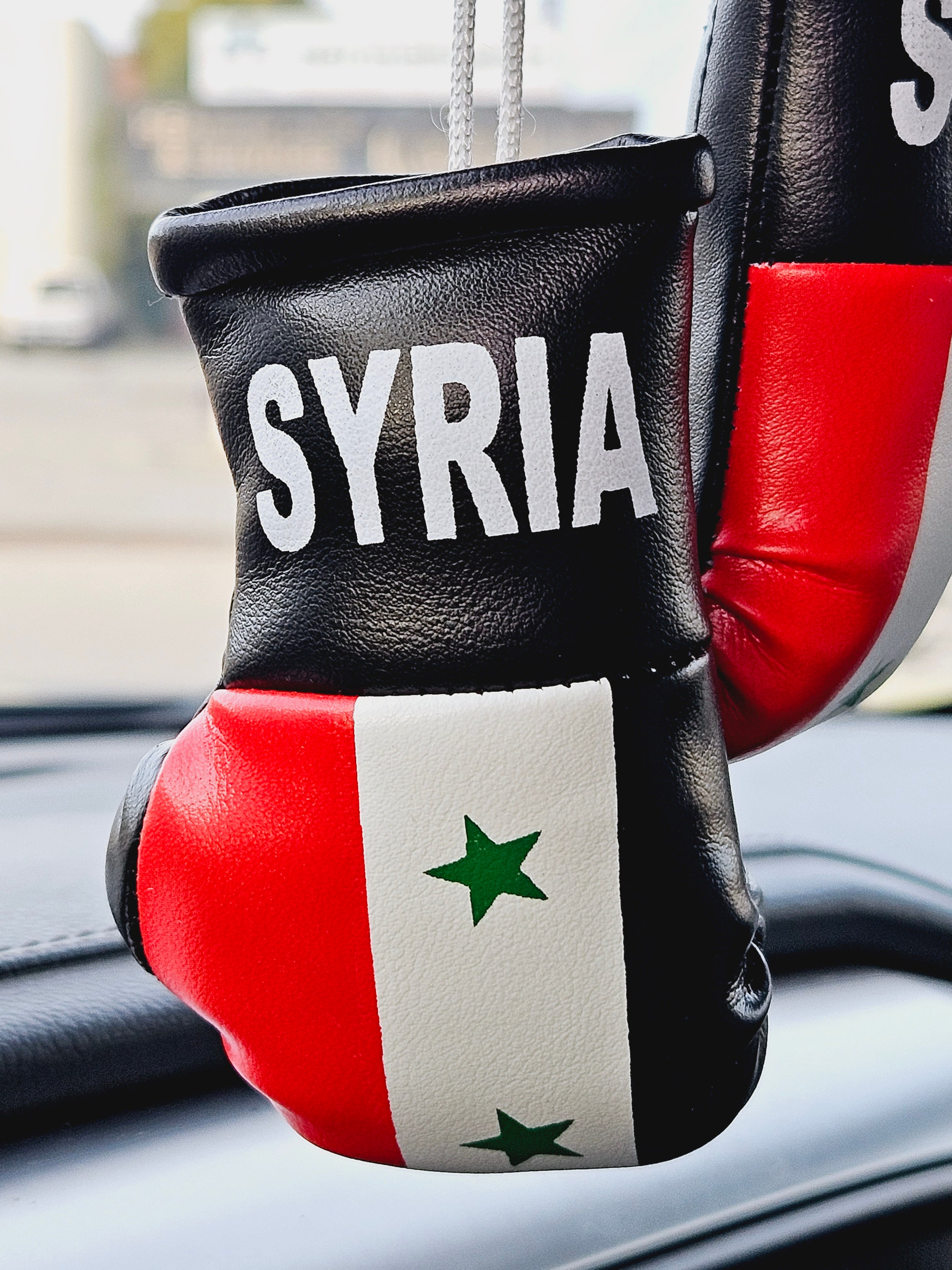 Syria Mini Boxing Gloves For Hanging - Habibi Heritage