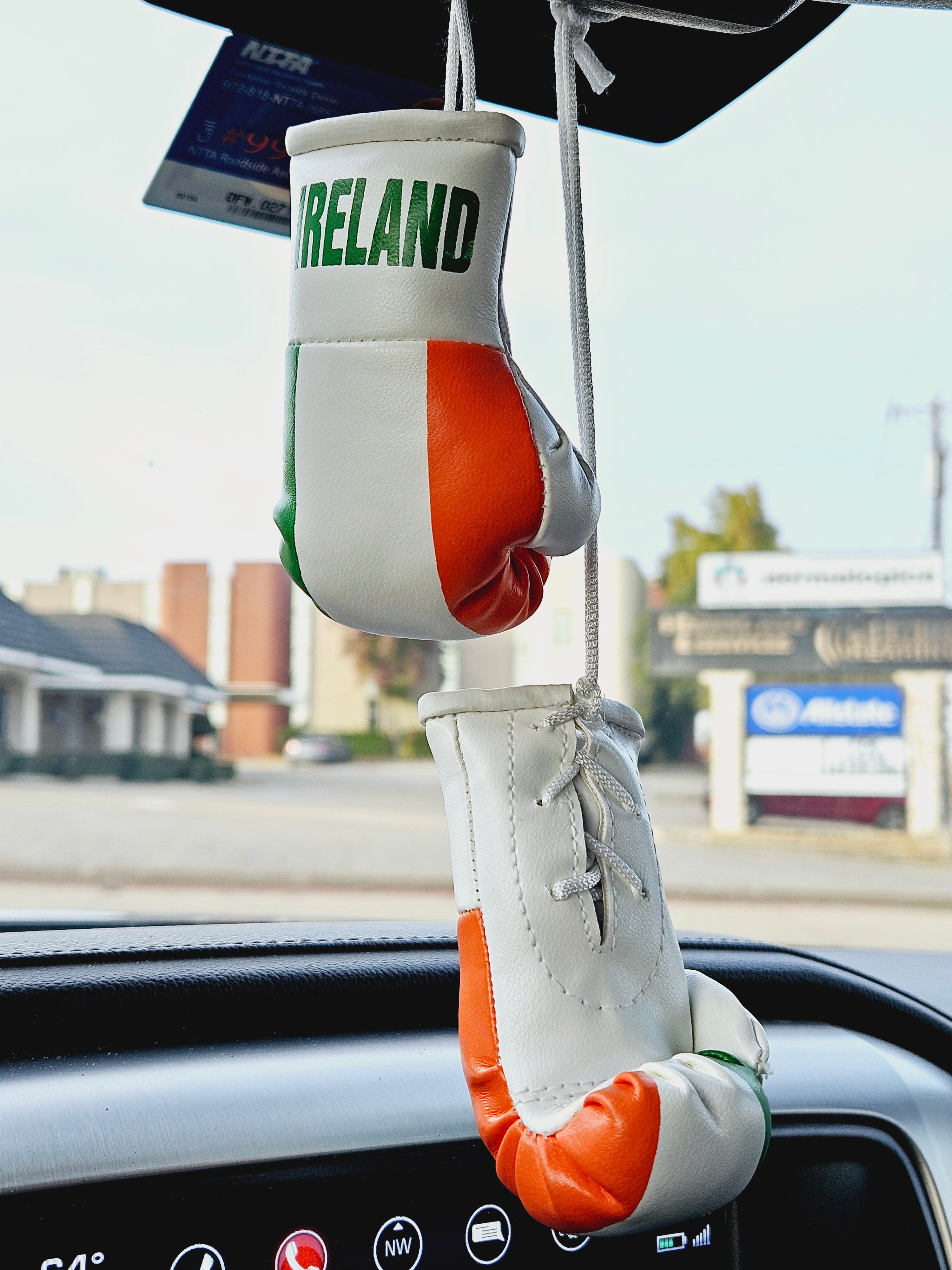 Ireland Flag Mini Boxing Gloves For Hanging