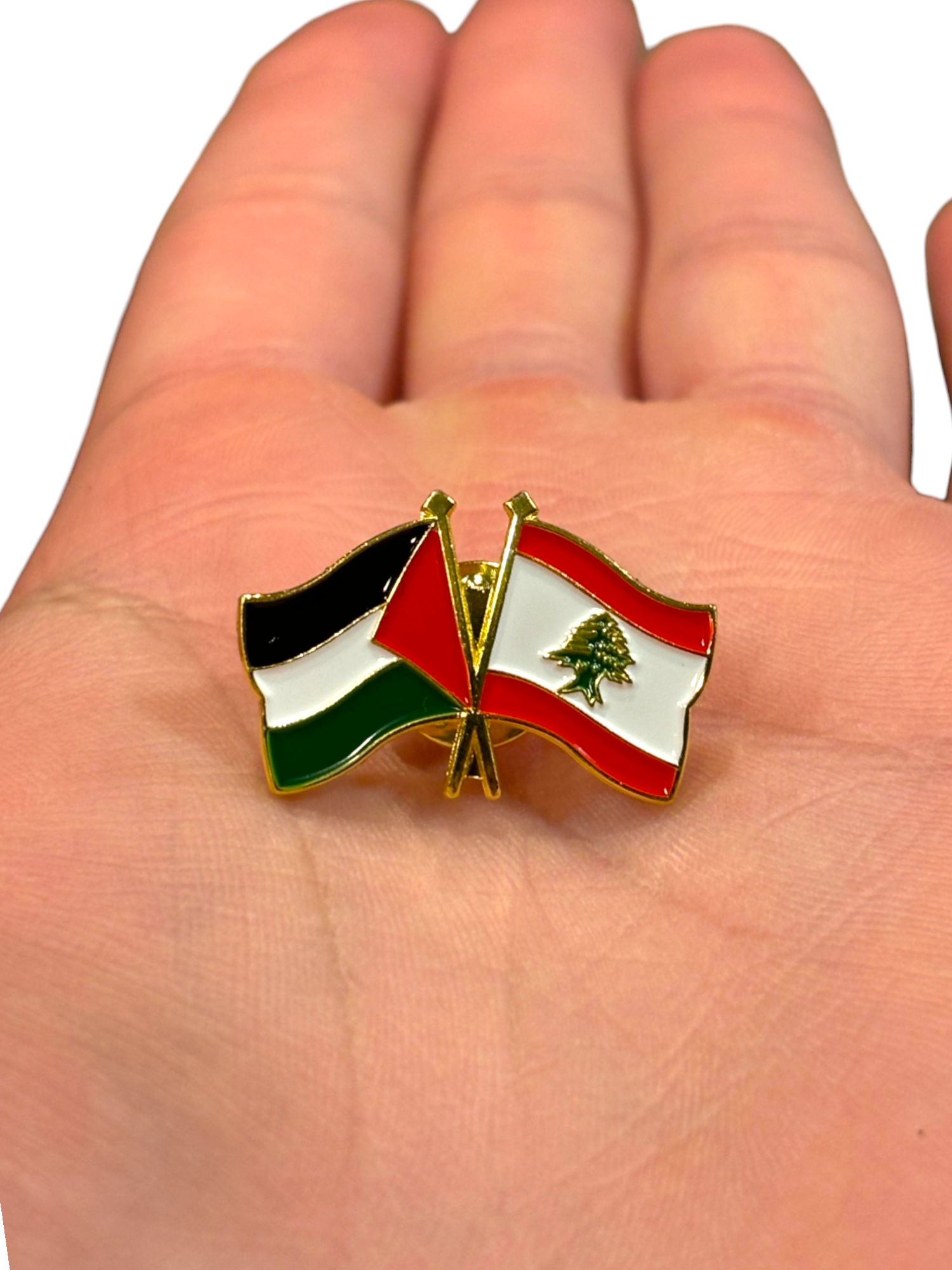 Palestine Lebanon Pin Lapel