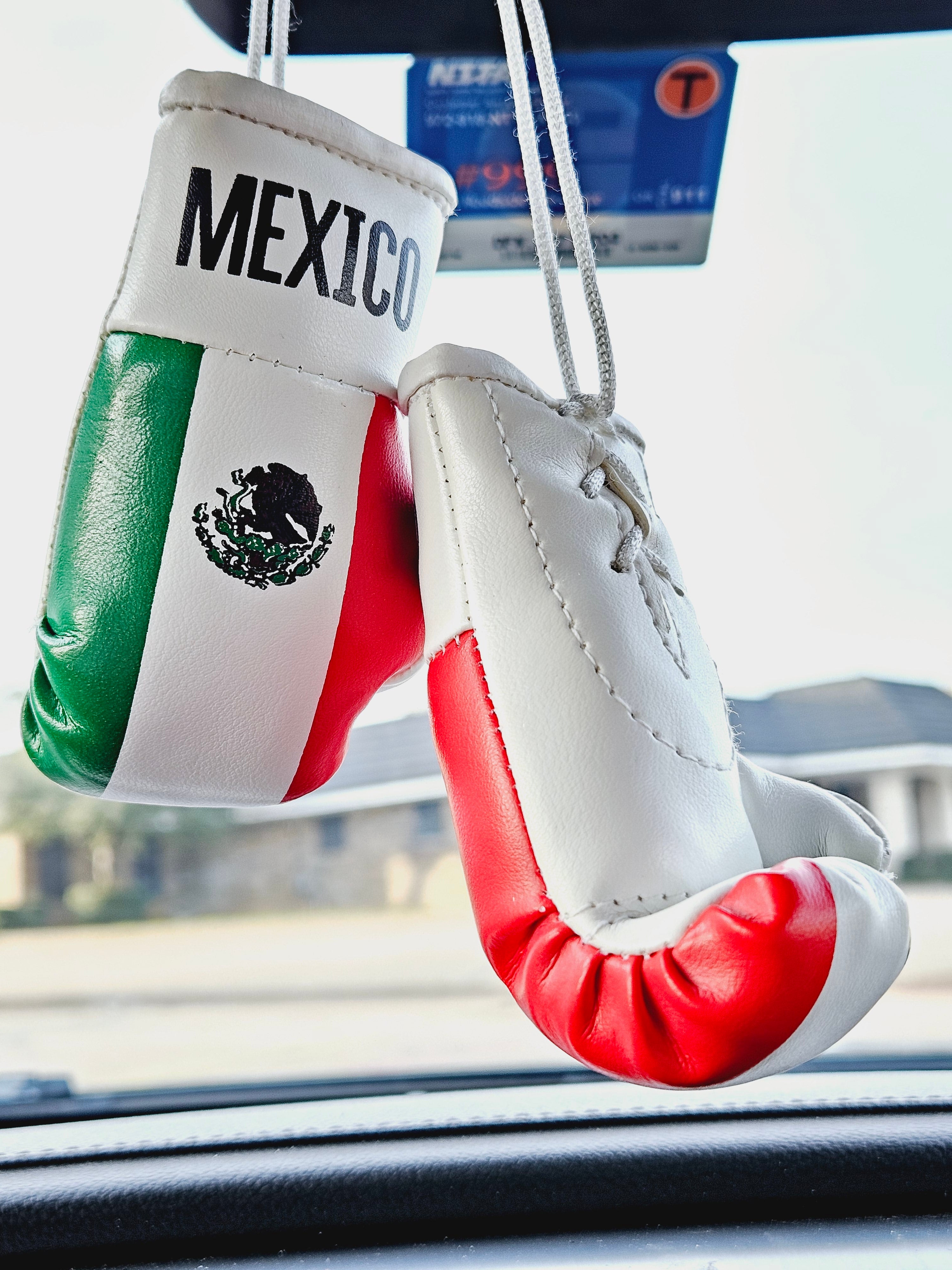 Mexico Flag Mini Boxing Gloves For Hanging Habibi Heritage