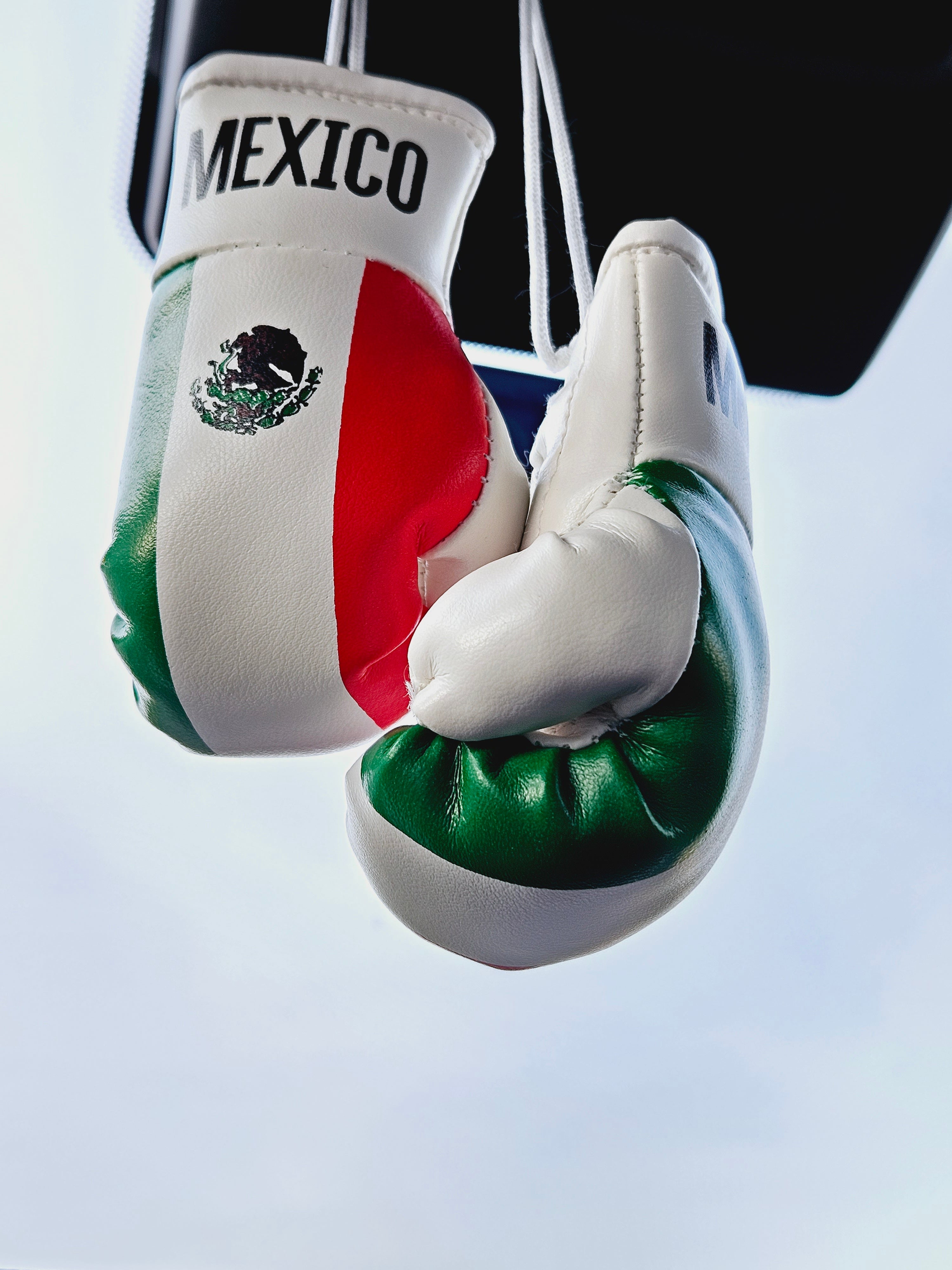 Mexico Flag Mini Boxing Gloves For Hanging - Habibi Heritage