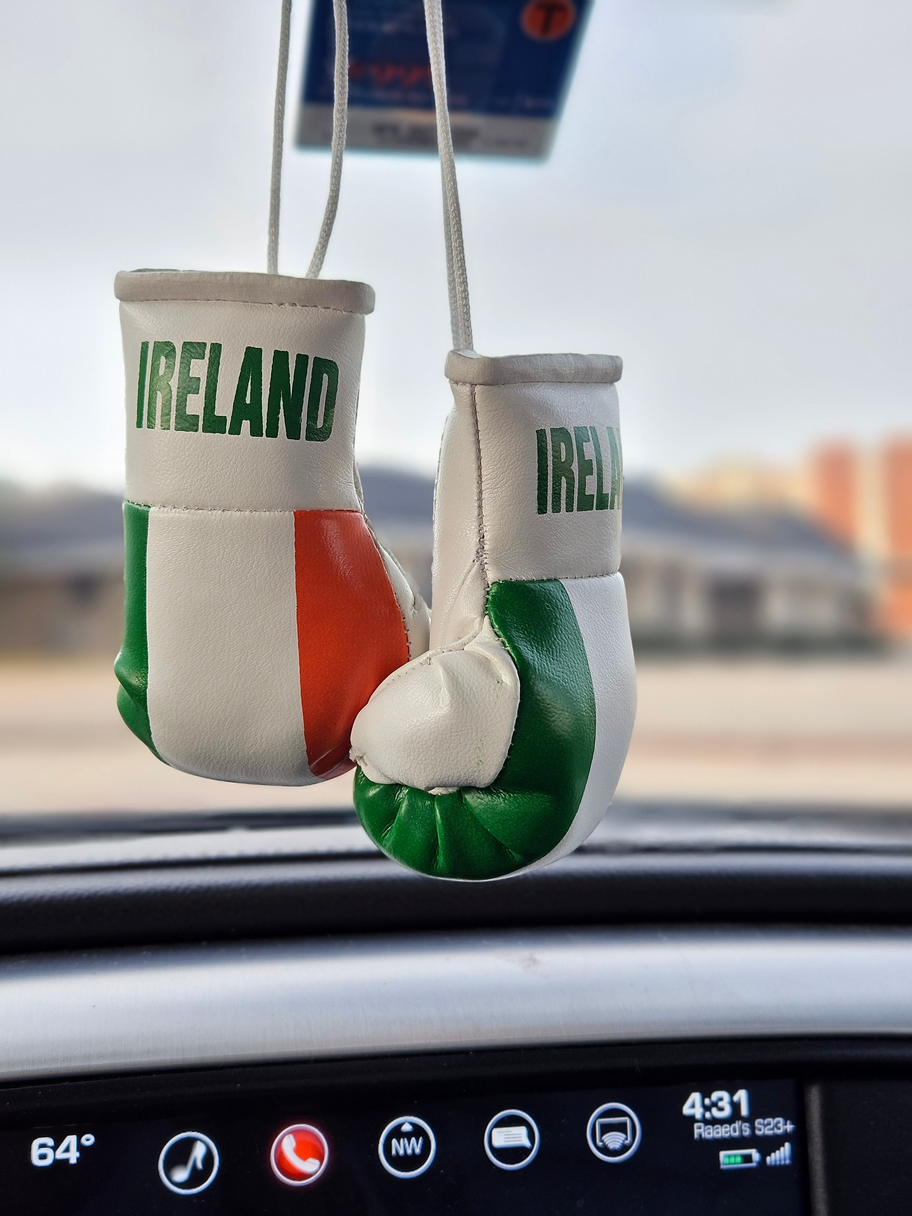 Ireland Flag Mini Boxing Gloves For Hanging - Habibi Heritage