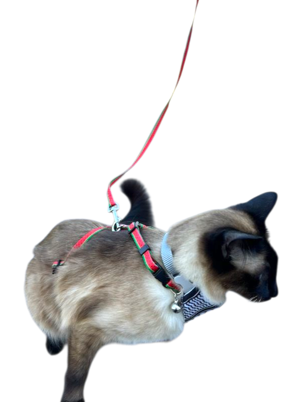 Cat Harness & Leash Set - Watermelon and Keffiyeh Pattern