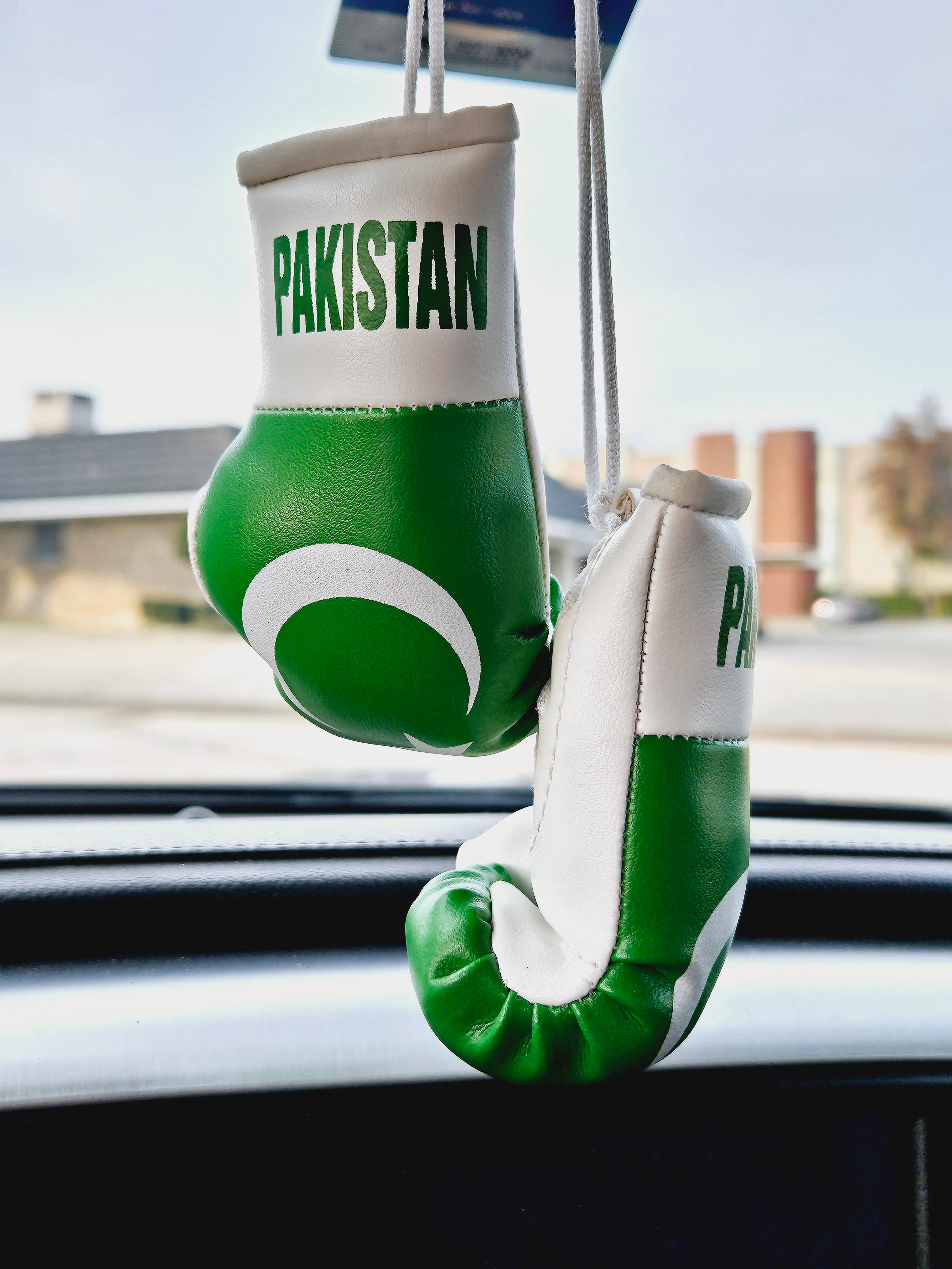 PAKISTAN Mini Boxing Gloves For Hanging - Habibi Heritage