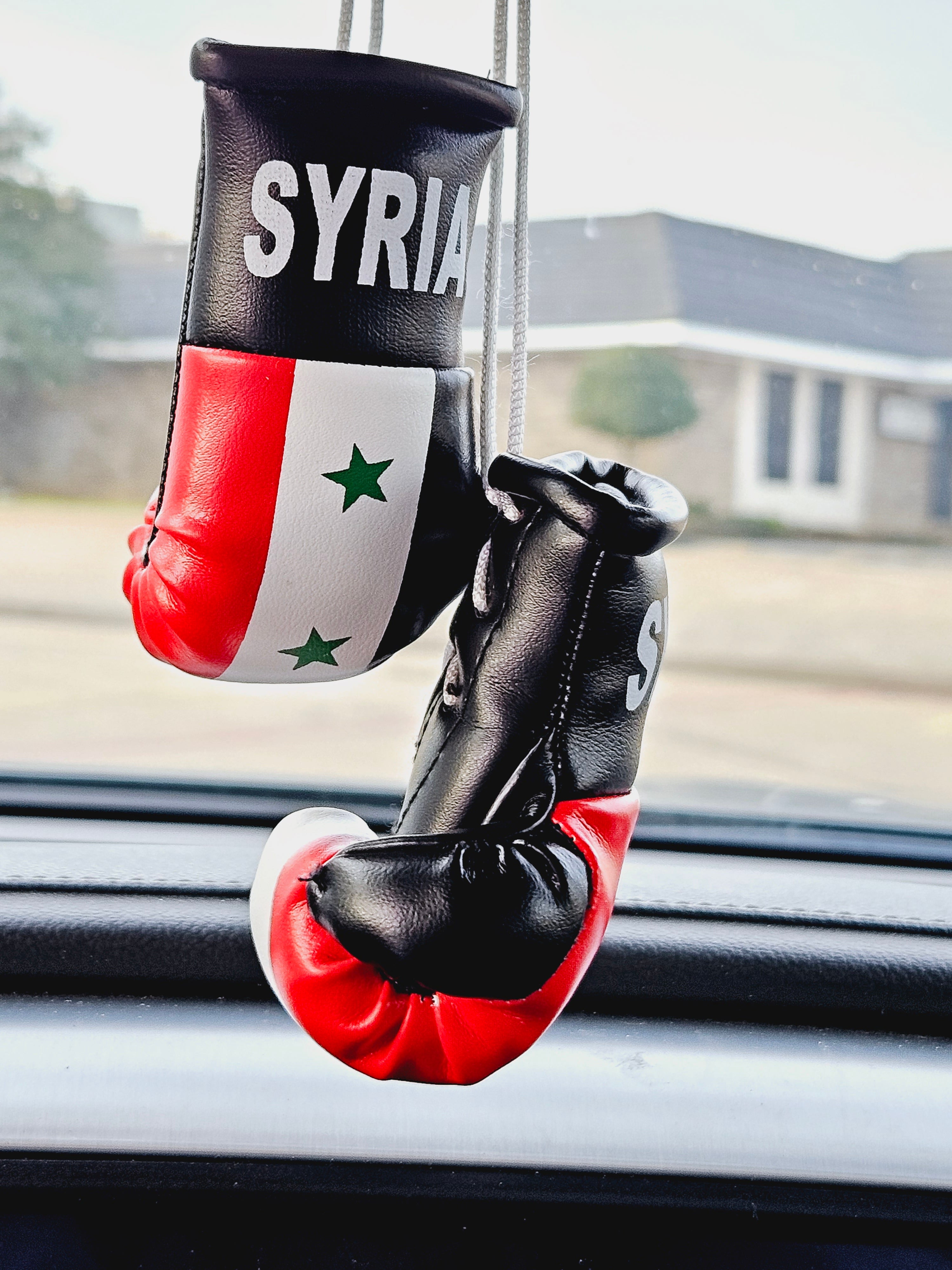 Syria Mini Boxing Gloves For Hanging - Habibi Heritage