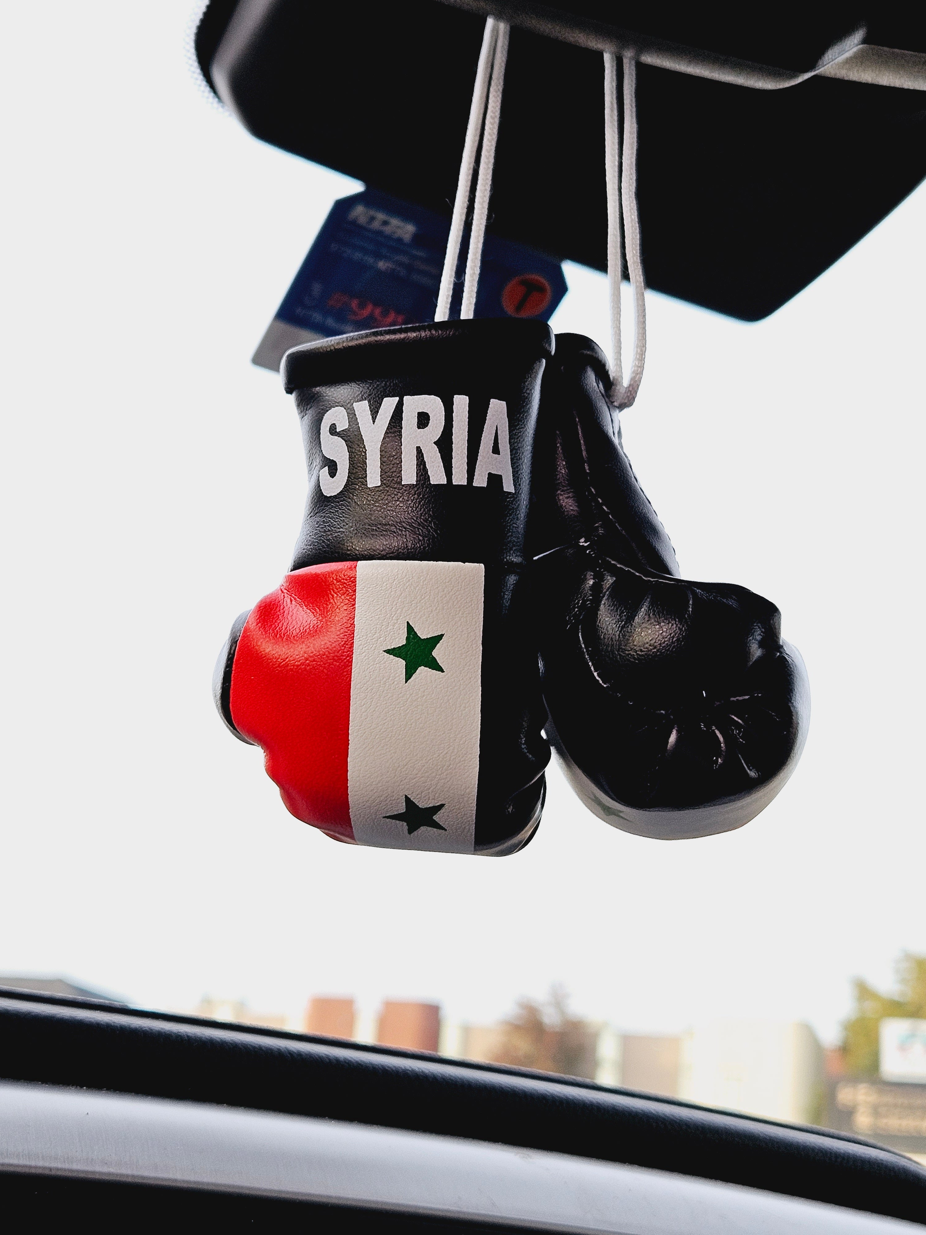 Syria Mini Boxing Gloves For Hanging - Habibi Heritage