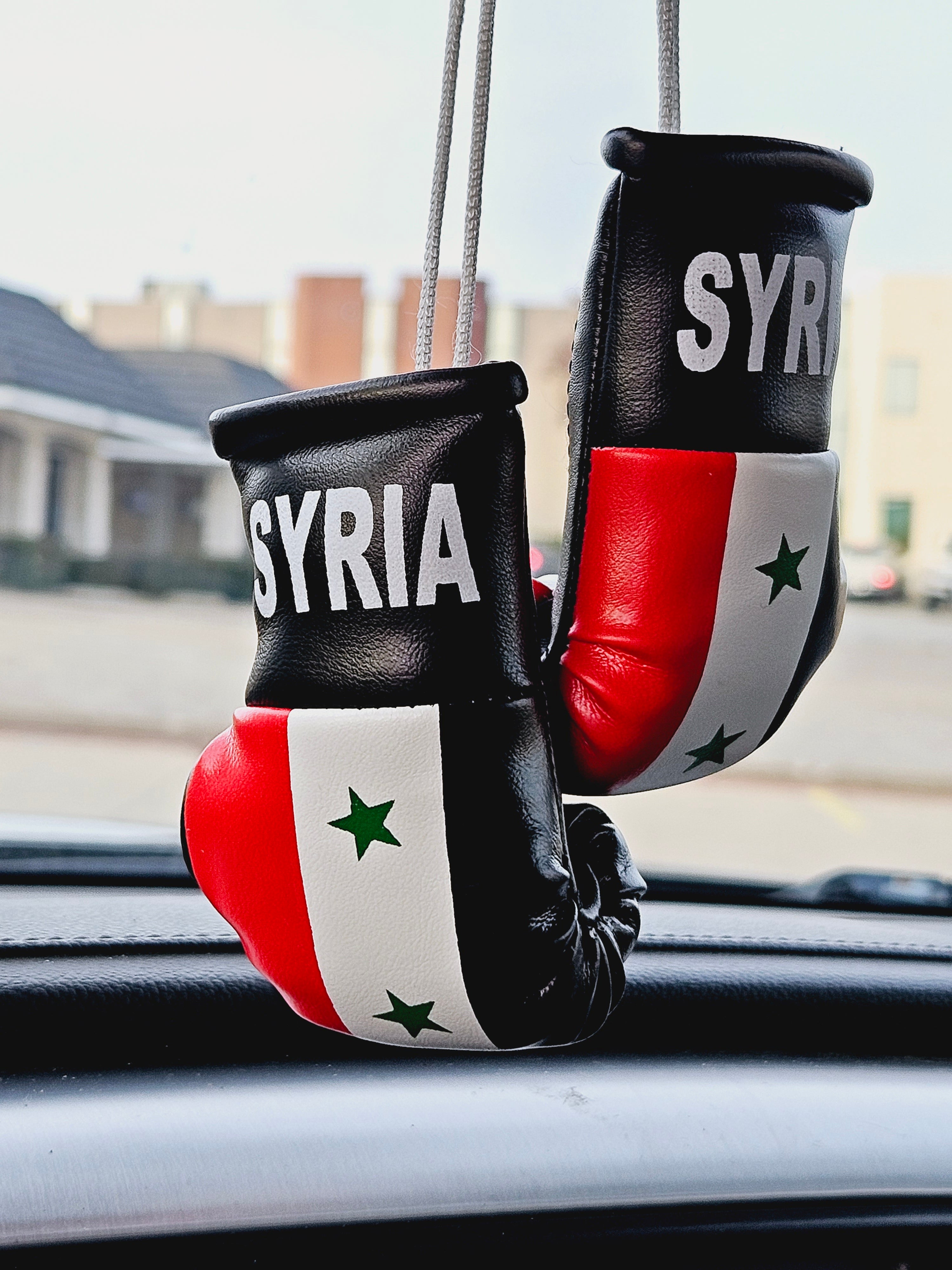 Syria Mini Boxing Gloves For Hanging - Habibi Heritage