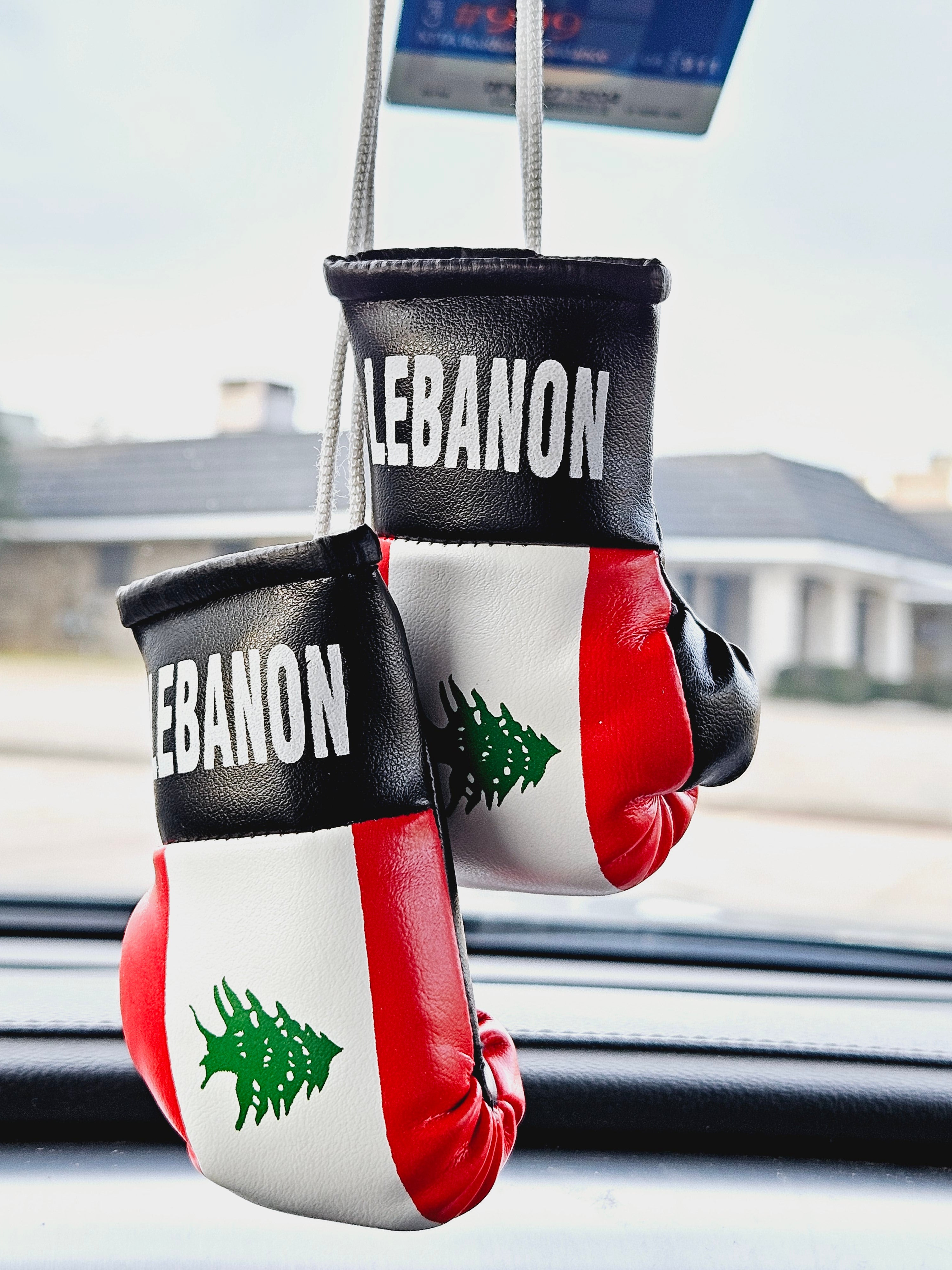 Lebanon Mini Boxing Gloves For Hanging - Habibi Heritage