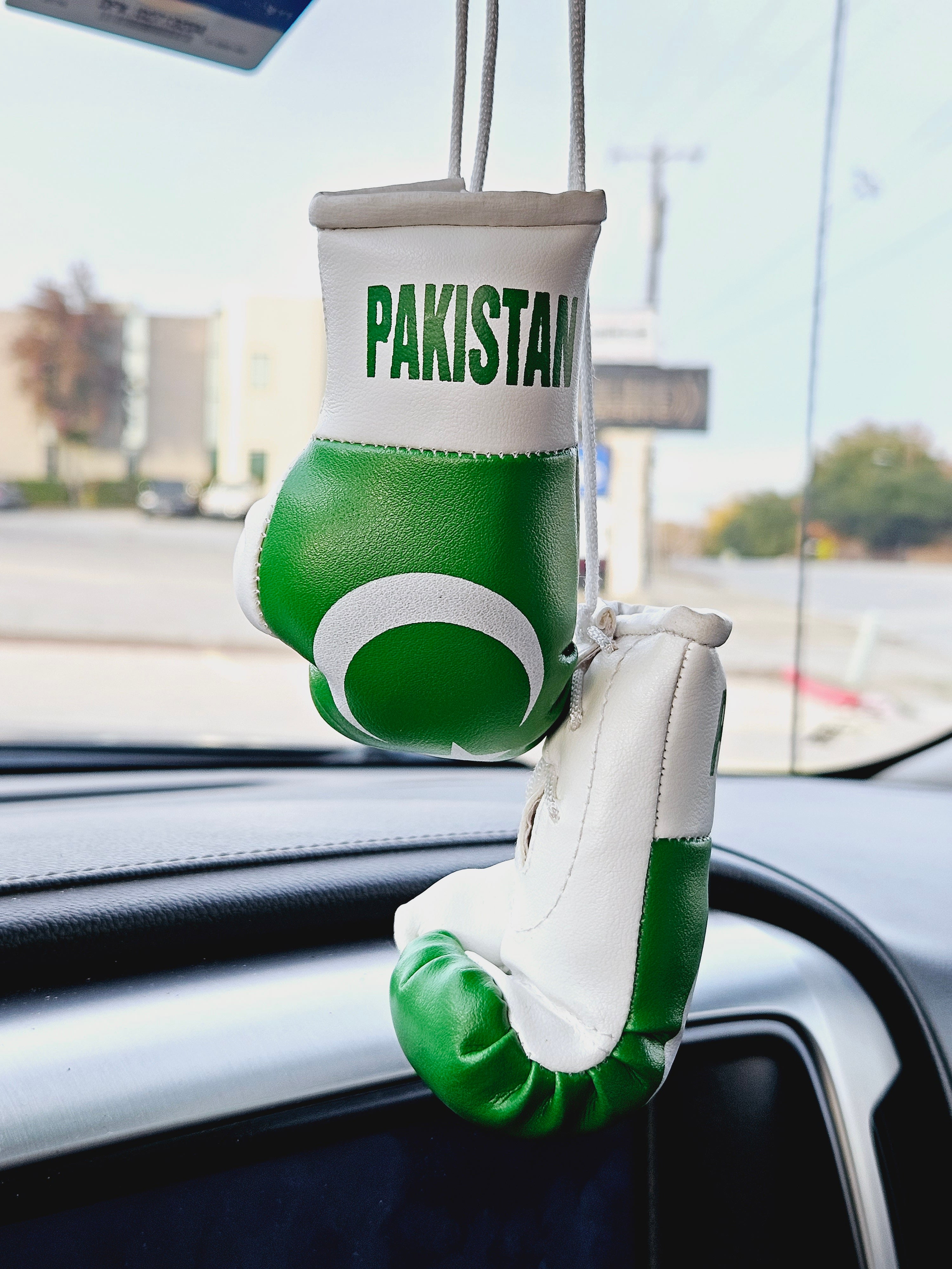 PAKISTAN Mini Boxing Gloves For Hanging - Habibi Heritage