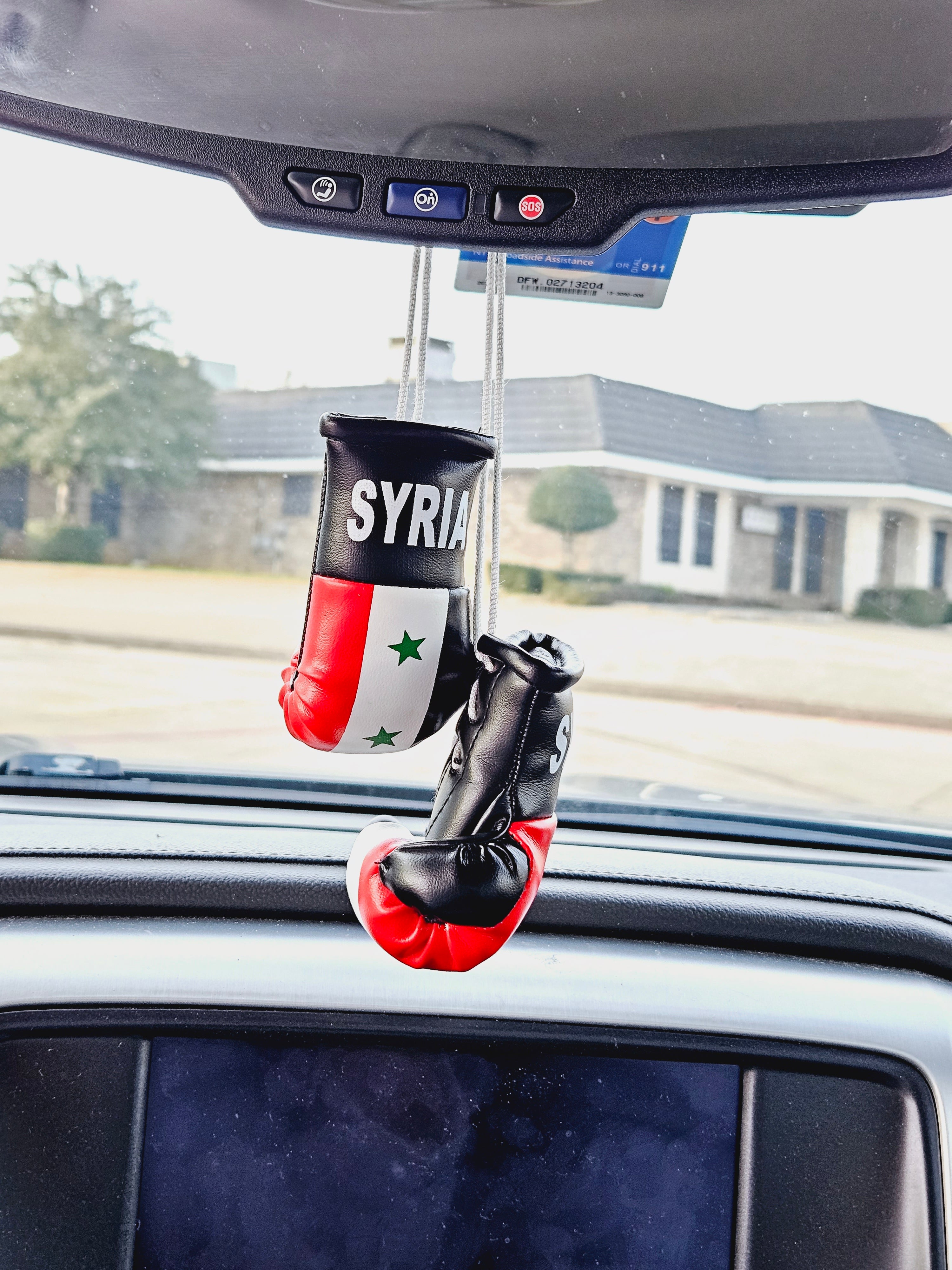 Syria Mini Boxing Gloves For Hanging - Habibi Heritage