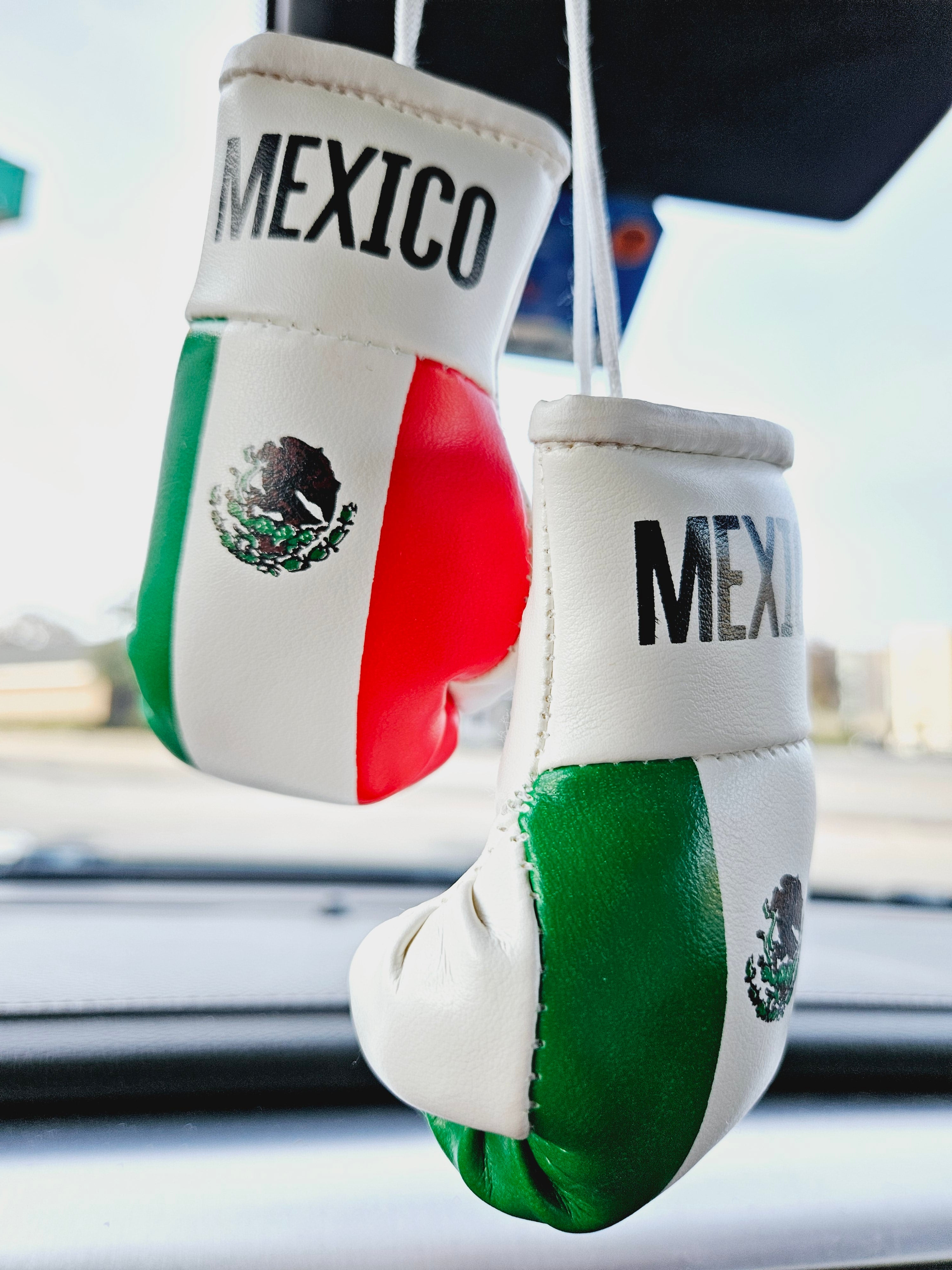 Mexico Flag Mini Boxing Gloves For Hanging - Habibi Heritage