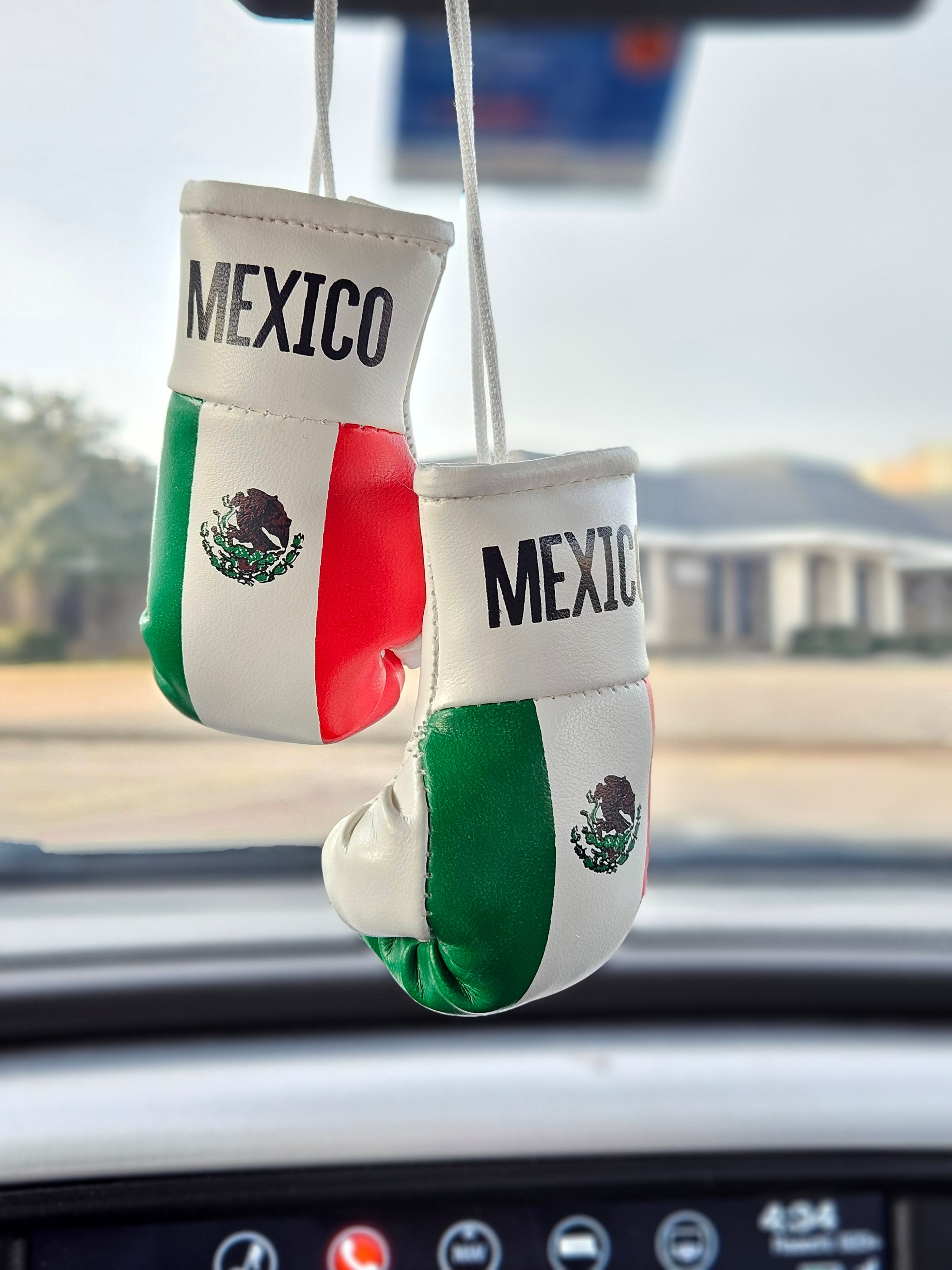 Mexico Flag Mini Boxing Gloves For Hanging - Habibi Heritage